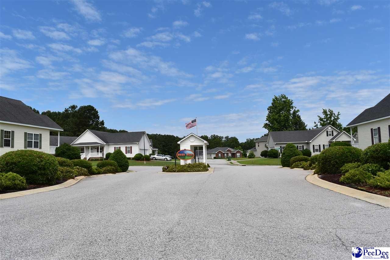 Effingham, Florence County, SC Undeveloped Land, Homesites for sale