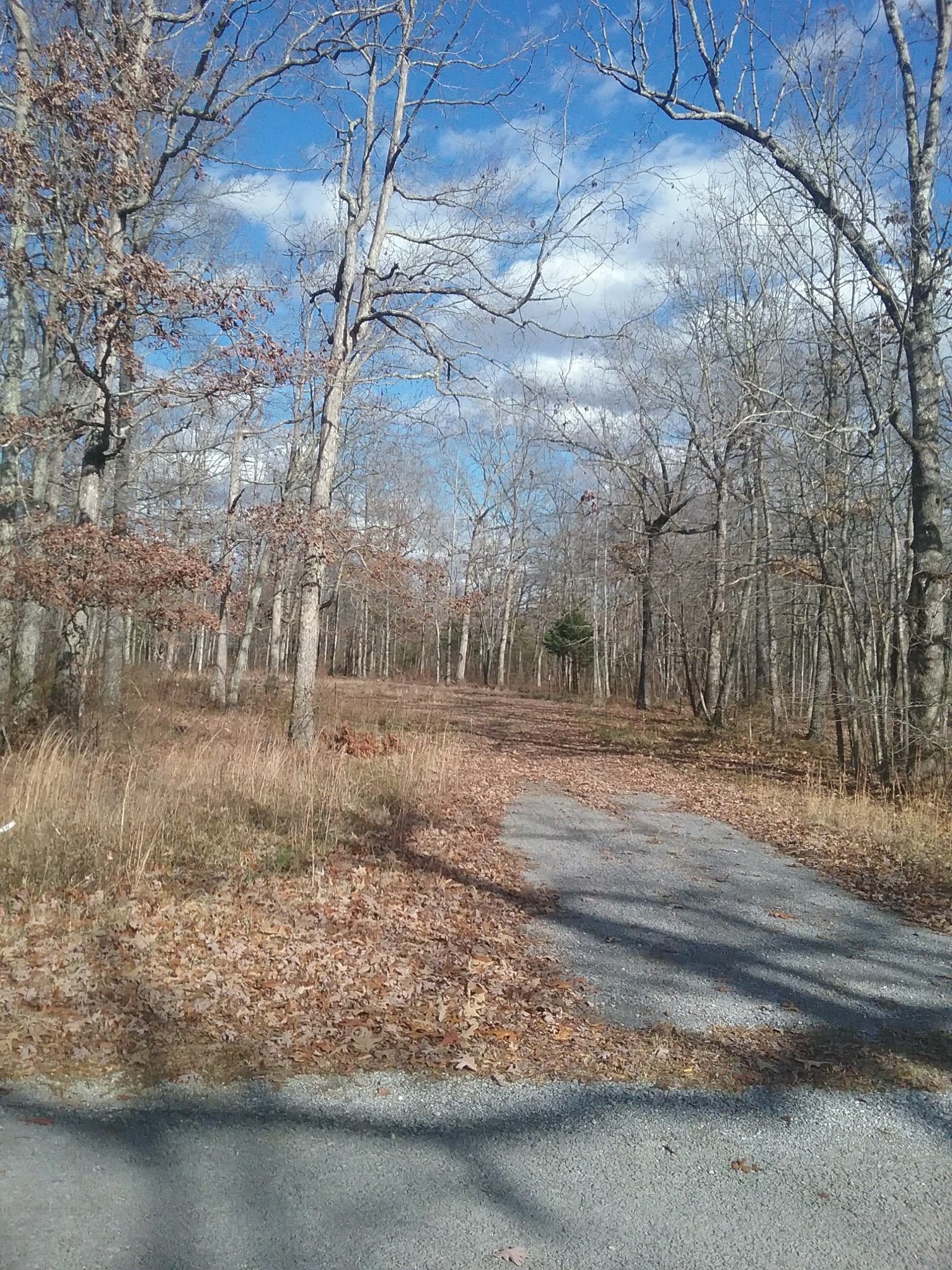 Beechgrove, Coffee County, TN Undeveloped Land, Homesites for sale