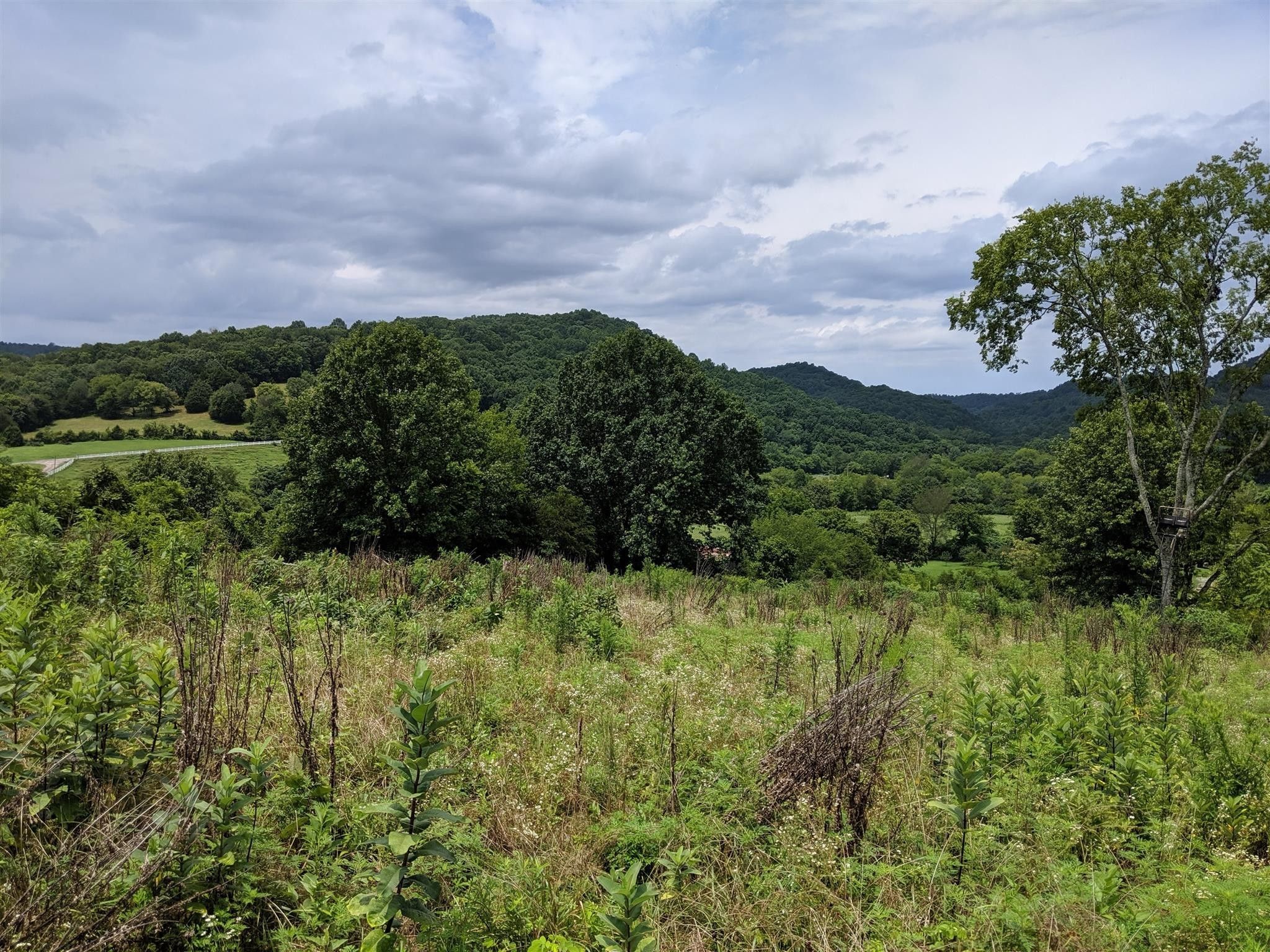 Pleasant Shade, Smith County, TN Undeveloped Land for sale Property ID
