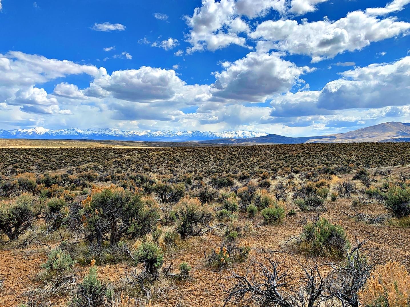 Elko, Elko County, NV Farms and Ranches, Undeveloped Land, Homesites