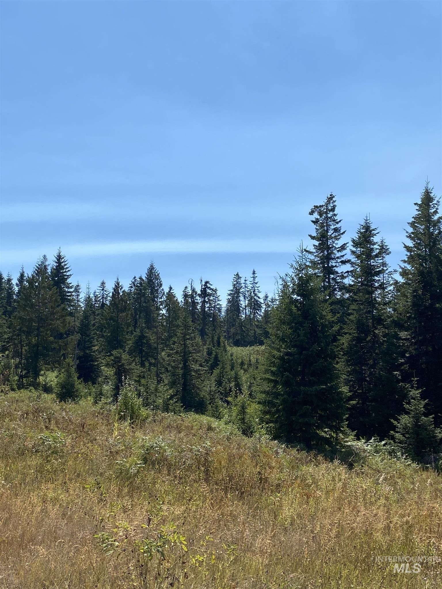 Orofino, Clearwater County, ID Undeveloped Land for sale Property ID