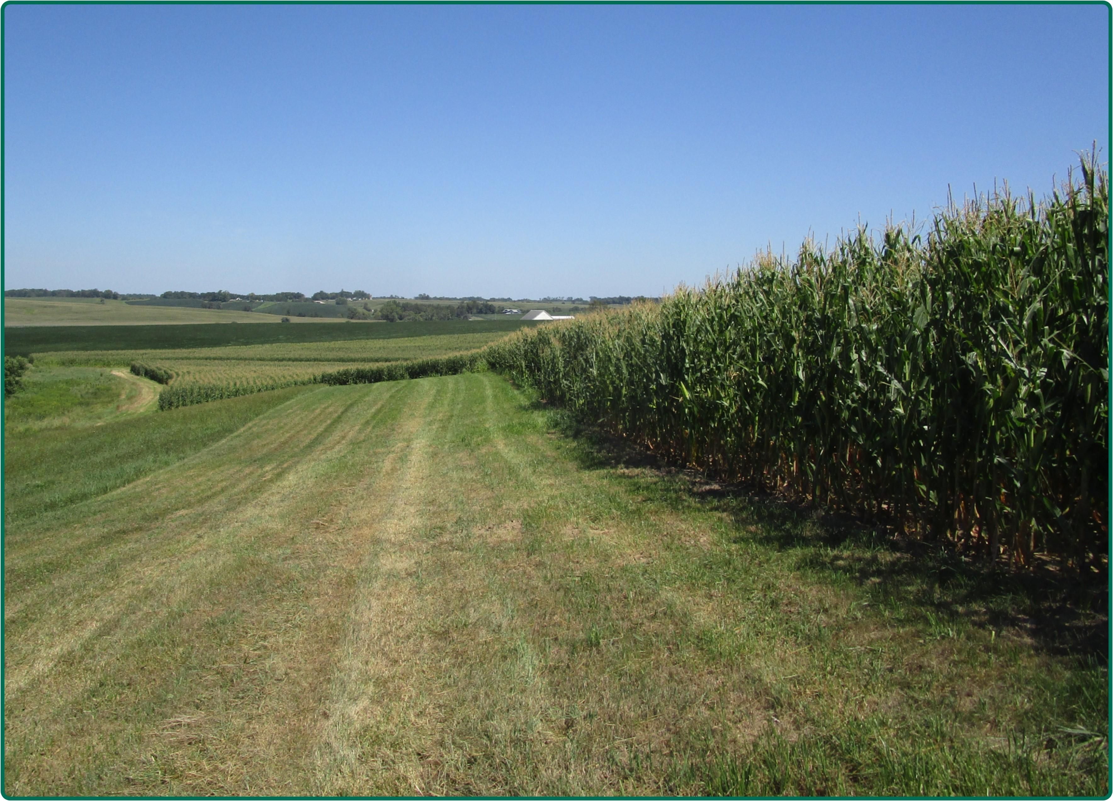 West Branch, Cedar County, IA Farms and Ranches for sale Property ID