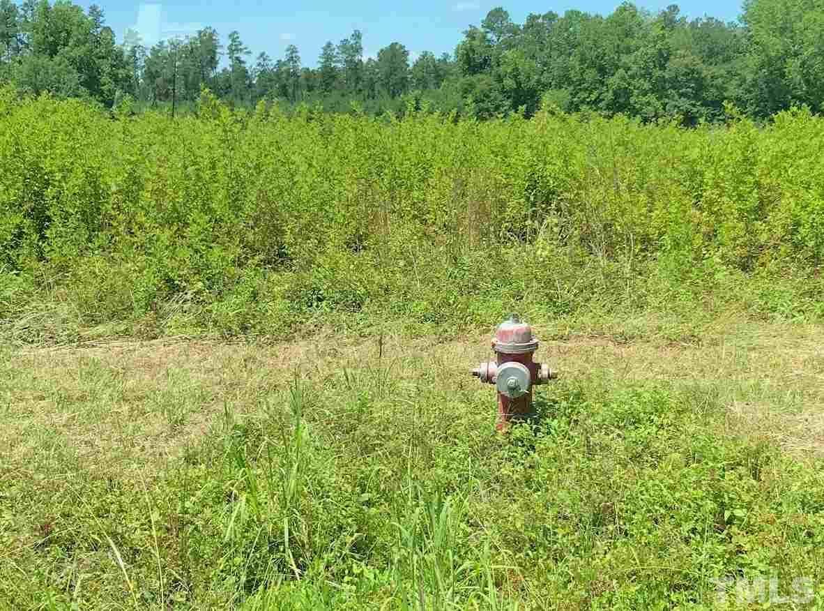 Pine Level, Johnston County, NC Undeveloped Land for sale Property ID