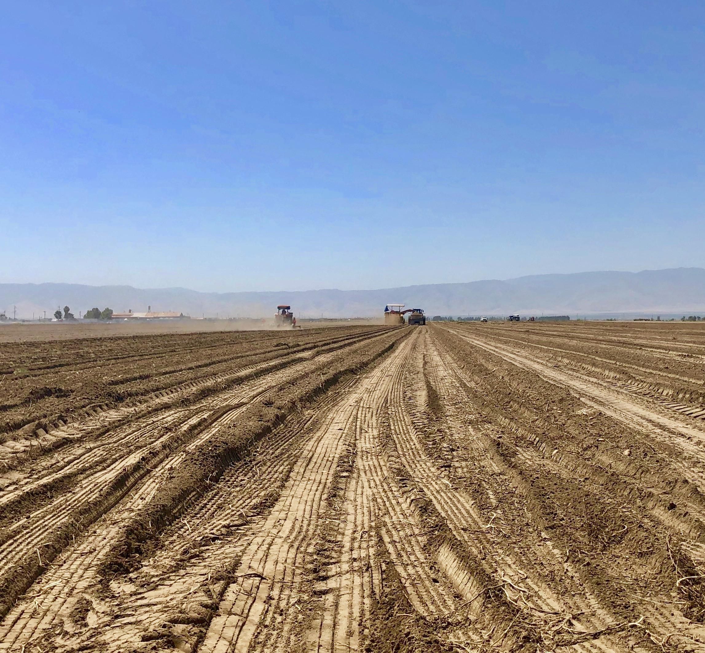 Arvin, Kern County, CA Farms and Ranches, Undeveloped Land for sale