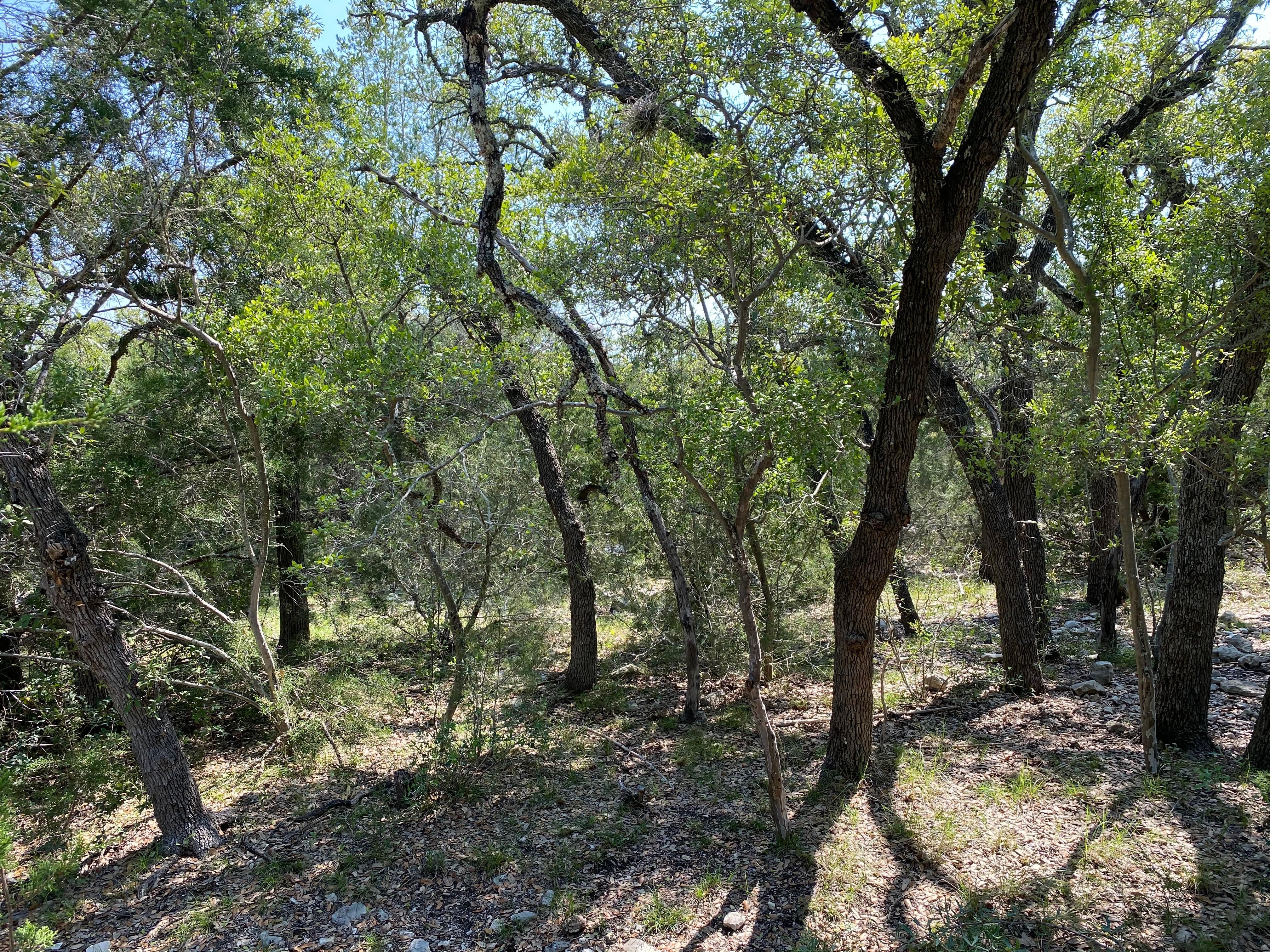 Rocksprings, Edwards County, TX Farms and Ranches, Recreational