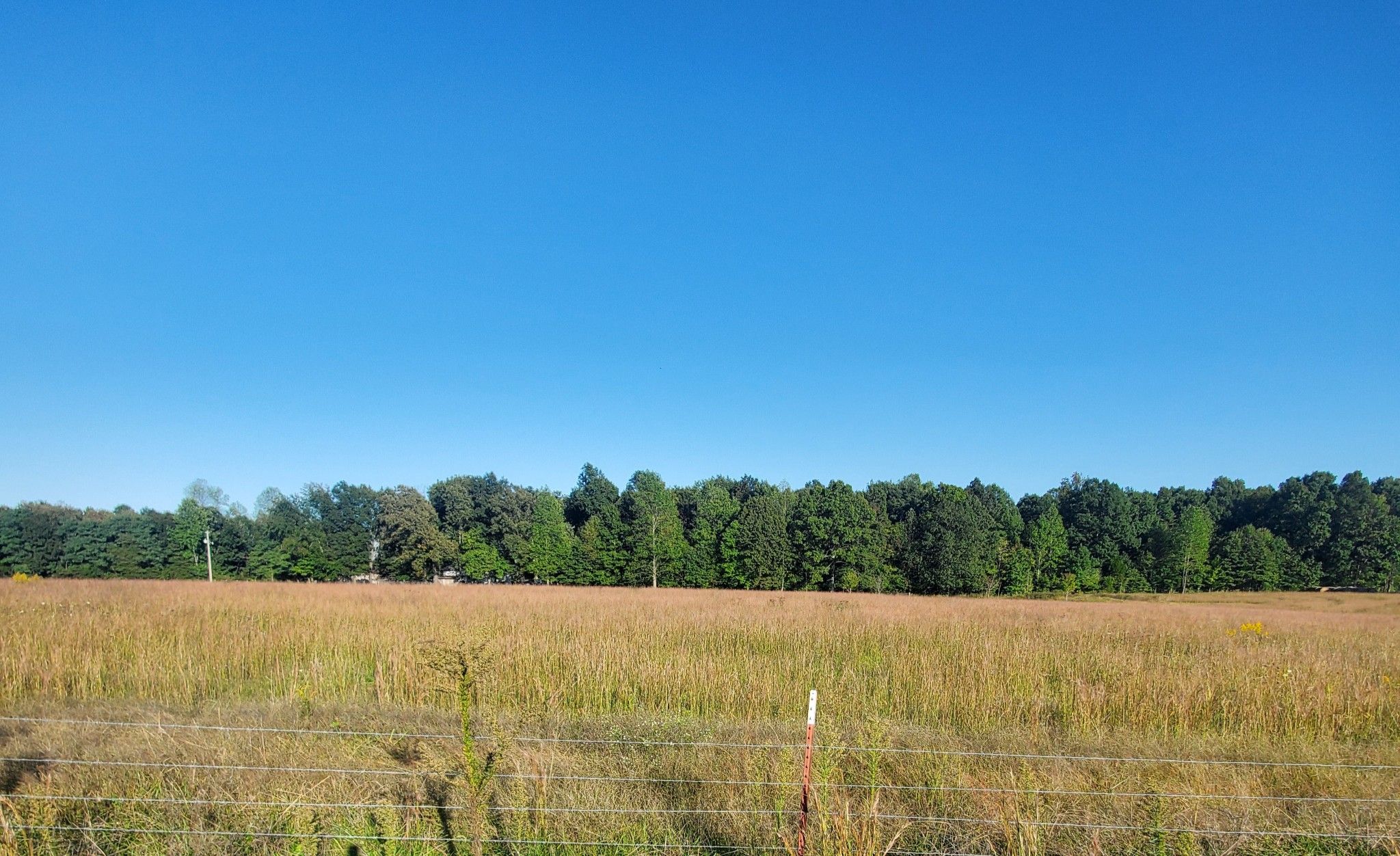 Beechgrove, Coffee County, TN Undeveloped Land, Homesites for sale