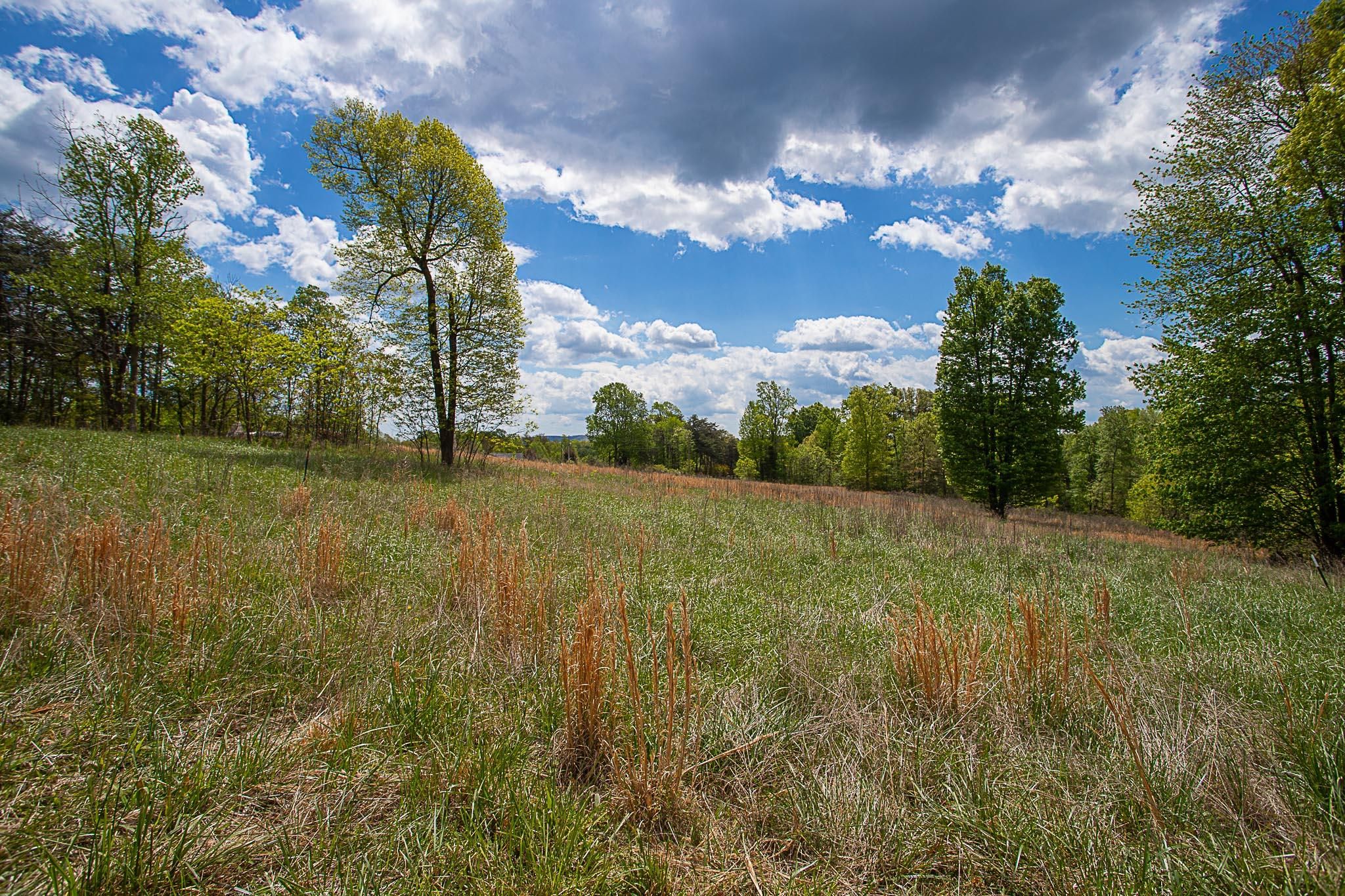 Rocky Mount, Franklin County, VA Farms and Ranches, Recreational Property for sale Property ID