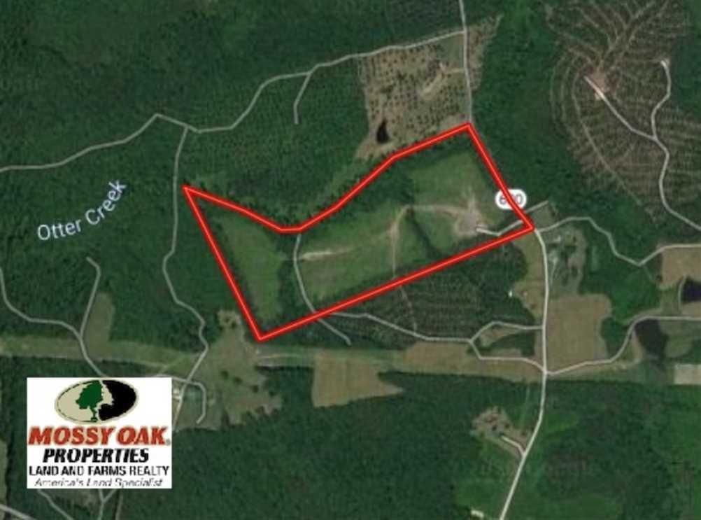 Chase City, Mecklenburg County, VA Recreational Property, Timberland