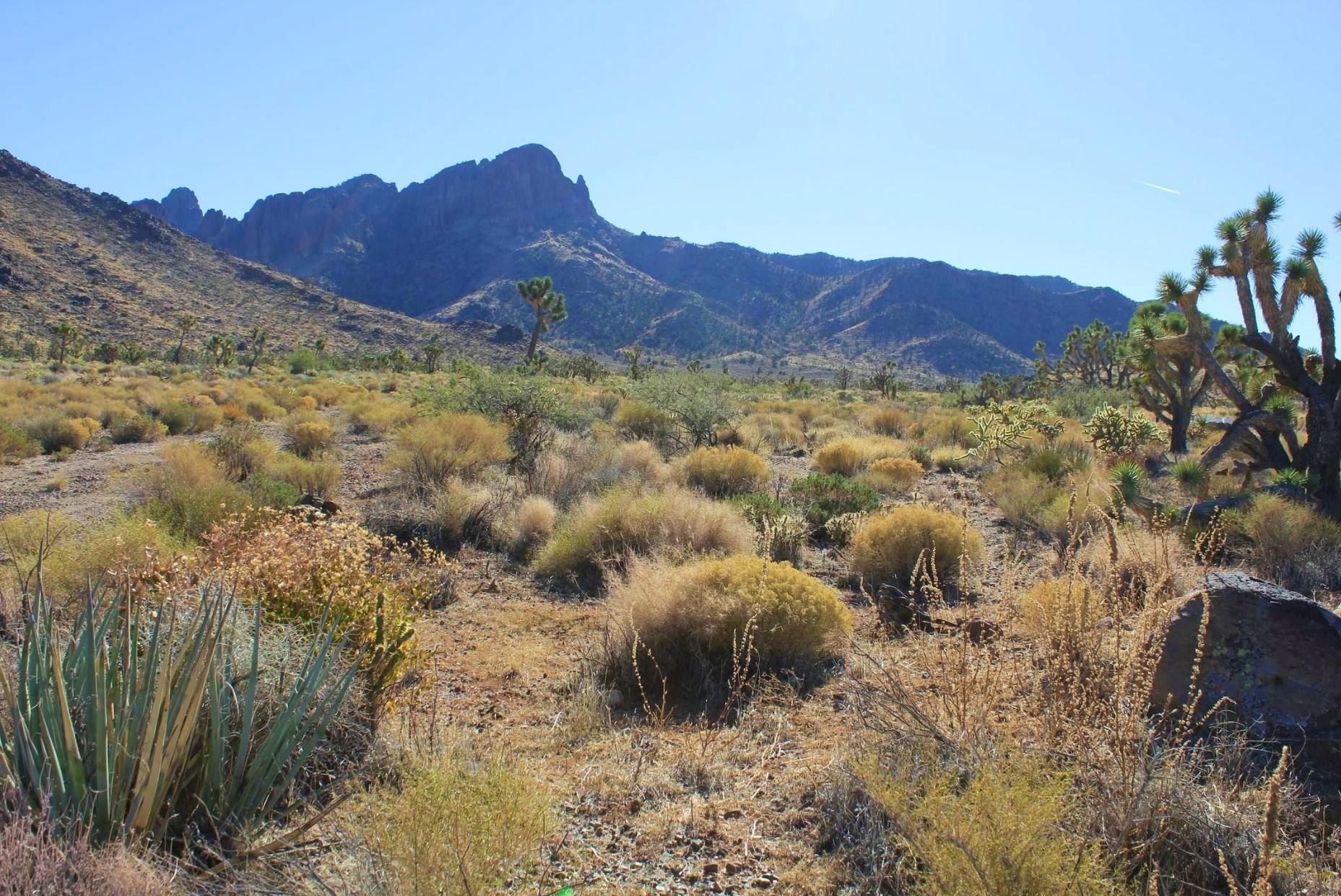 Dolan Springs, Mohave County, AZ Recreational Property, Undeveloped