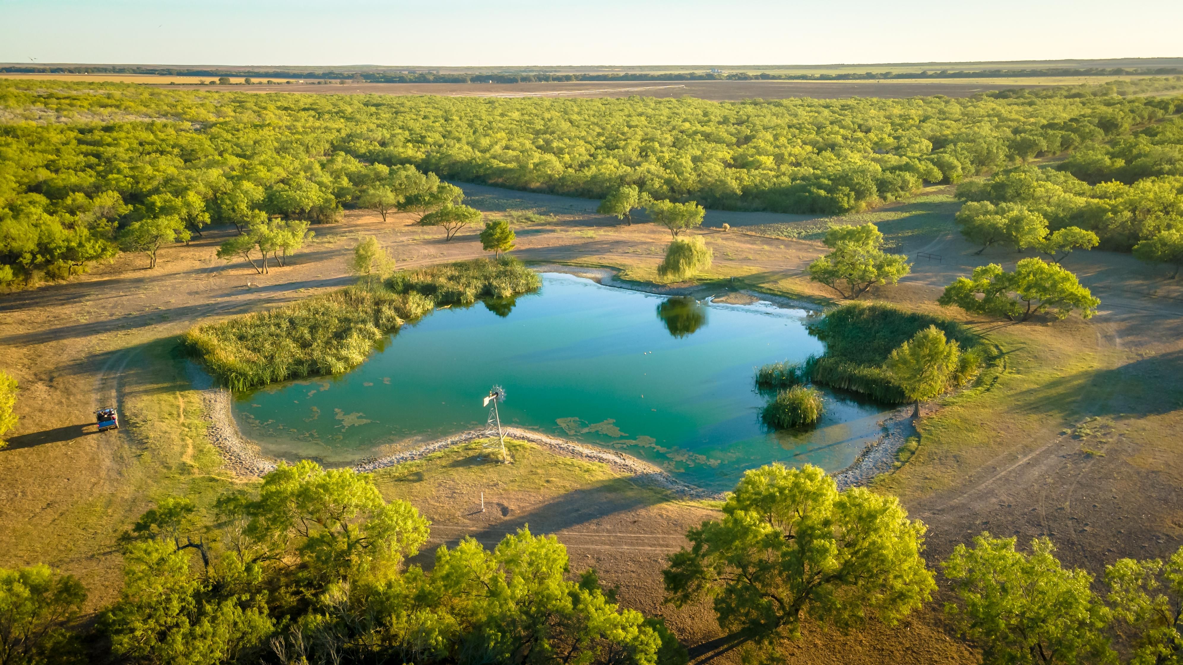 Uvalde, Uvalde County, TX Farms and Ranches, Hunting Property, House for sale Property ID
