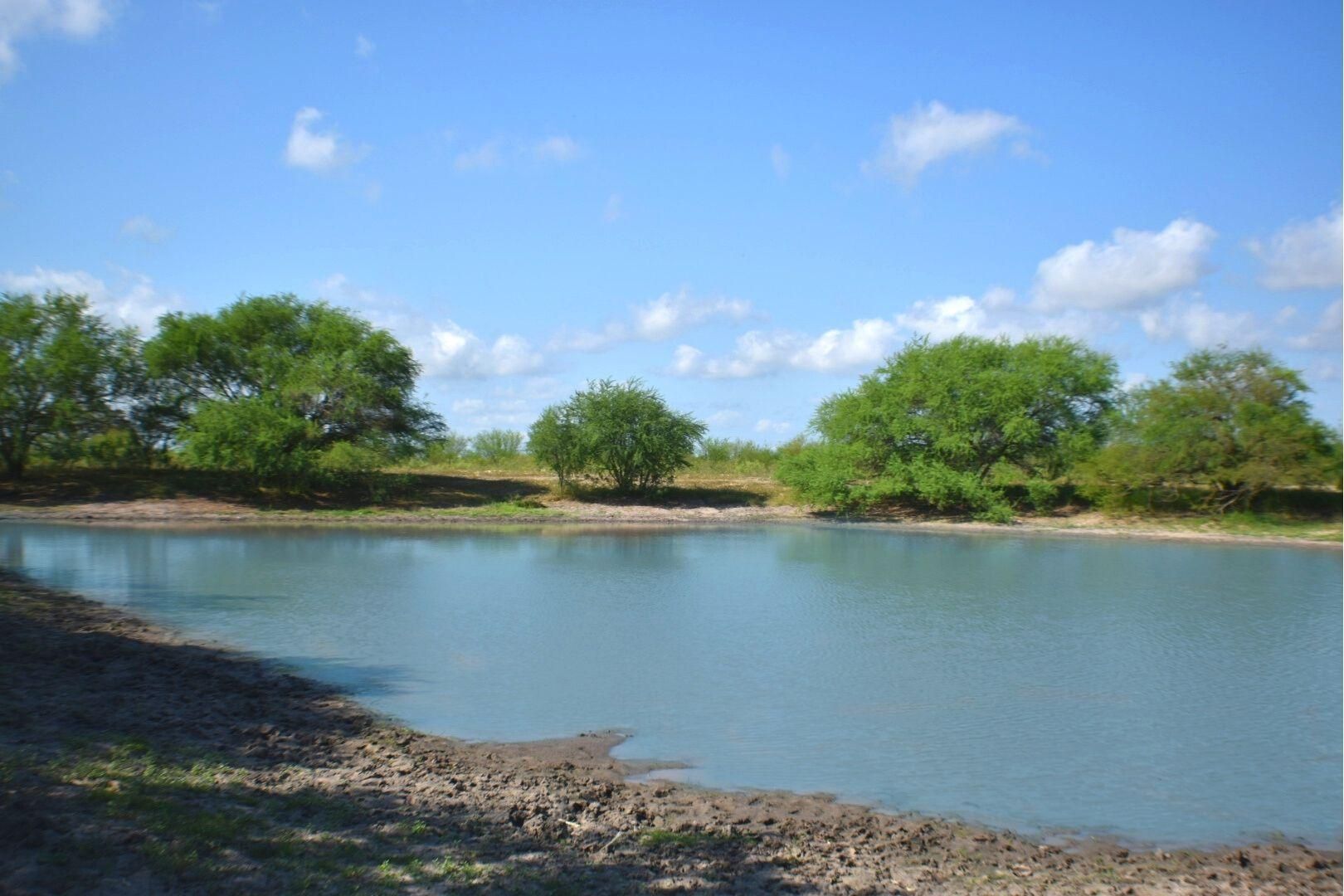 Beeville, Bee County, TX Undeveloped Land, Hunting Property, Horse