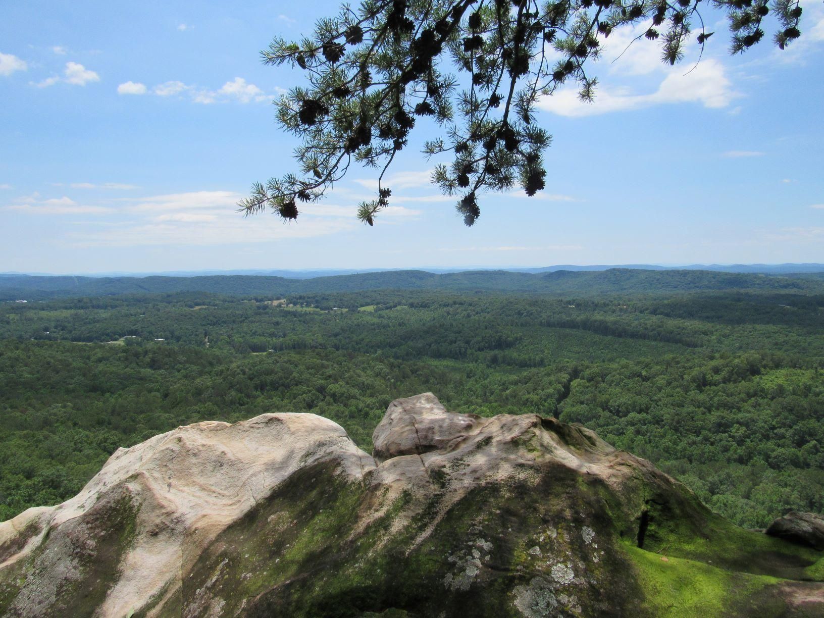 Altoona, Etowah County, AL Farms and Ranches for sale Property ID