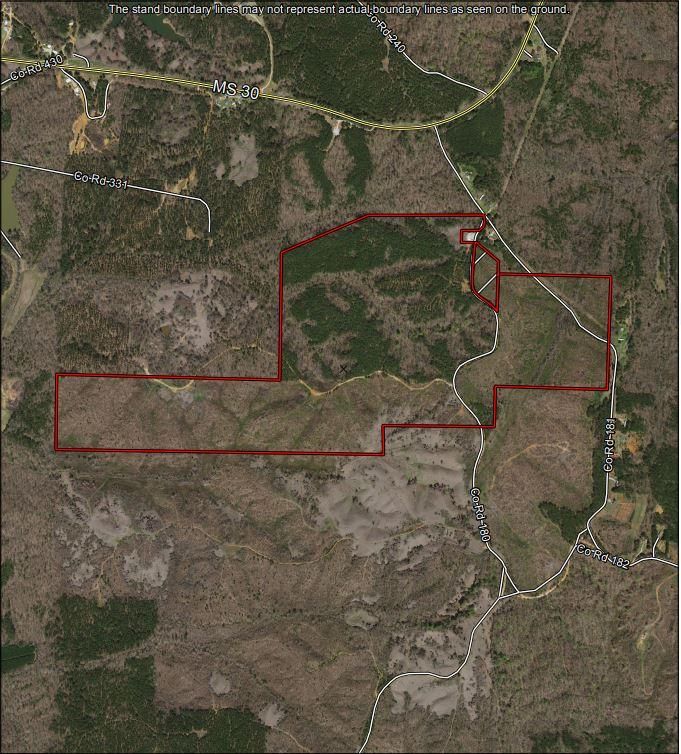 Pleasant Ridge, Union County, MS Recreational Property, Timberland