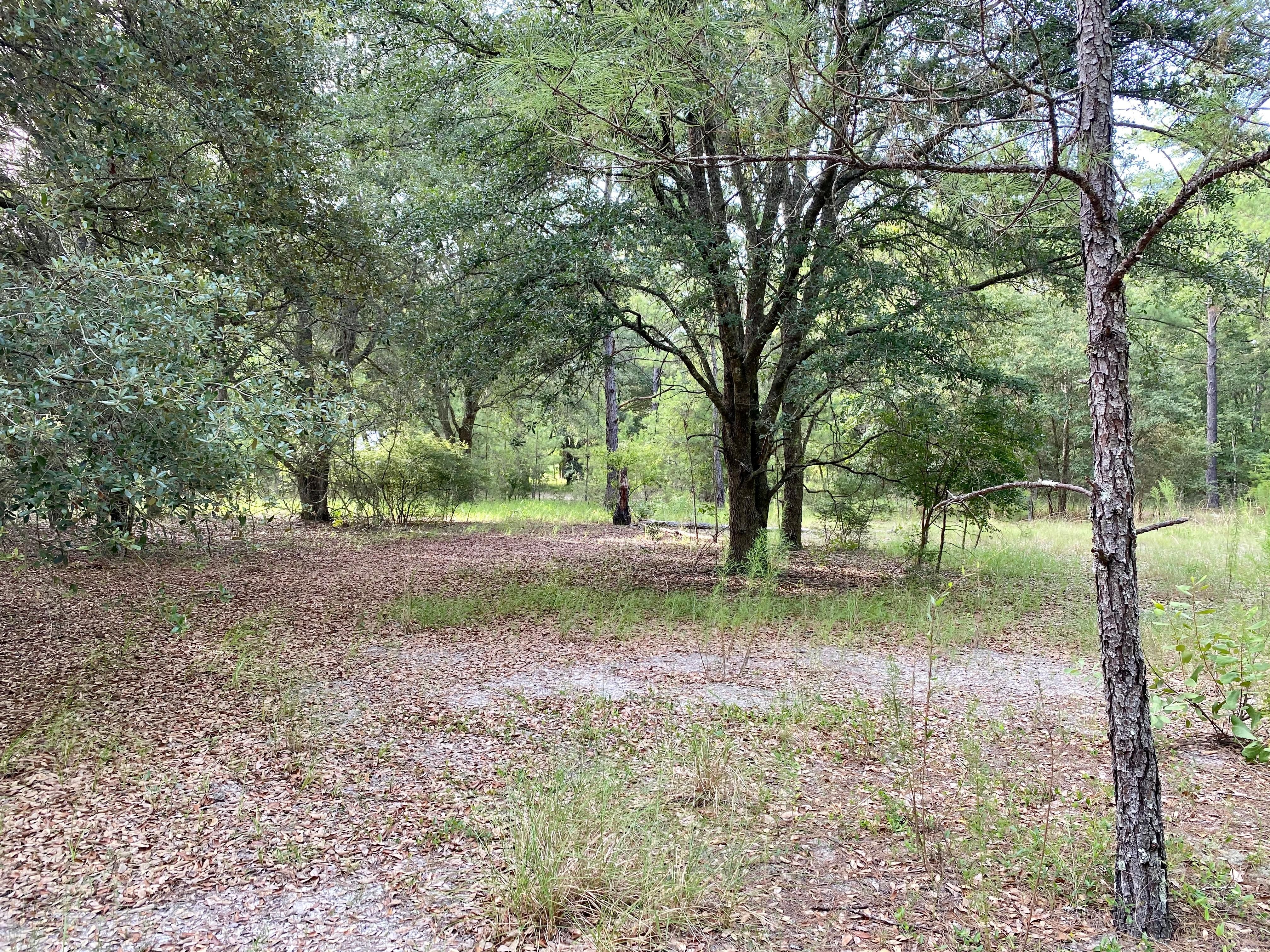 Branford, Suwannee County, FL Undeveloped Land, Homesites for sale
