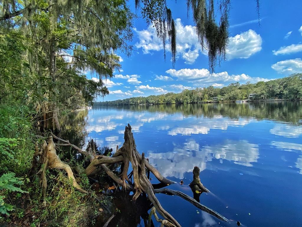 Old Town, Dixie County, FL Undeveloped Land, Lakefront Property