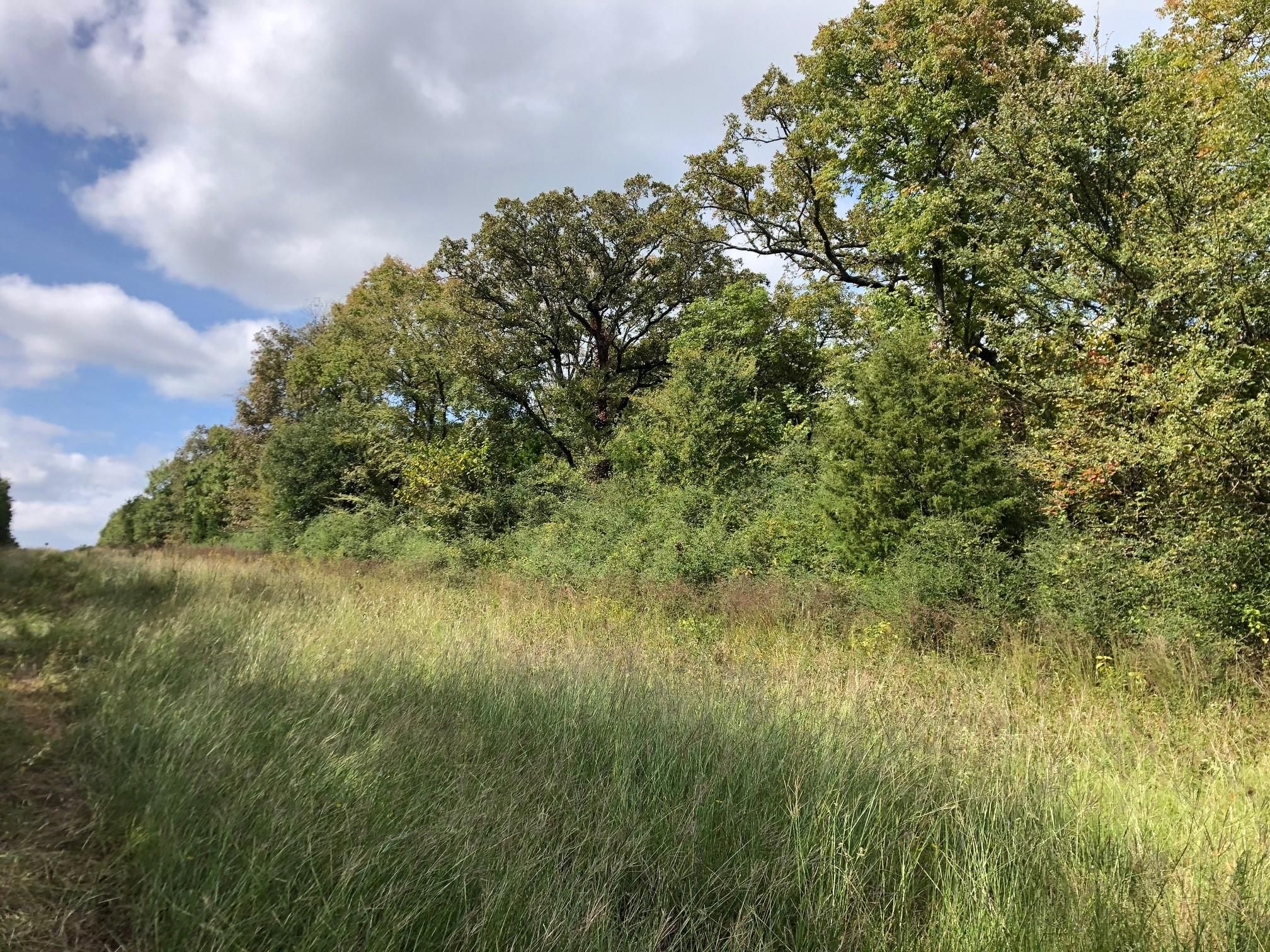 Fairfield, Freestone County, TX Recreational Property, Hunting Property