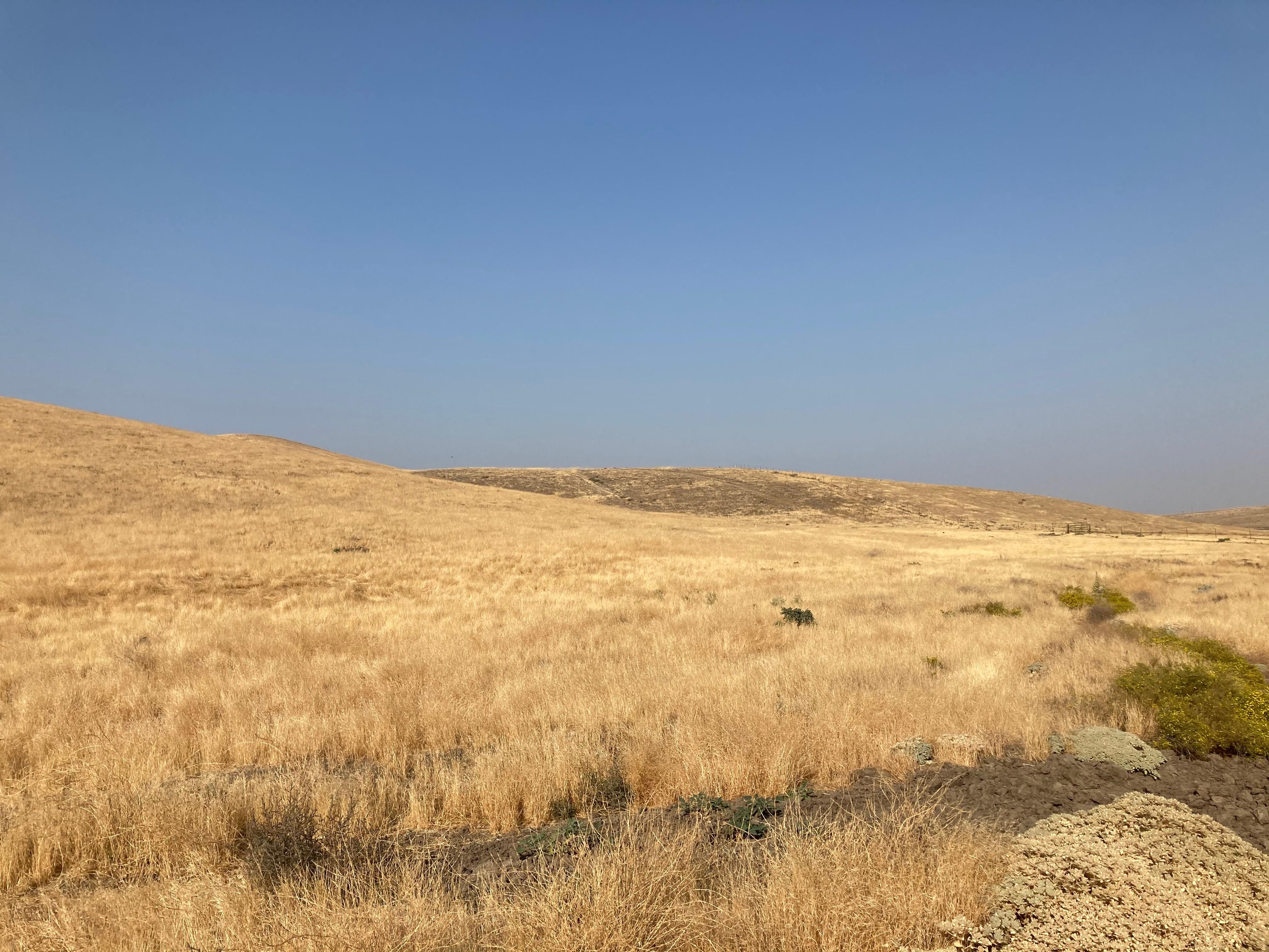 Bakersfield, Kern County, CA Farms and Ranches for sale Property ID