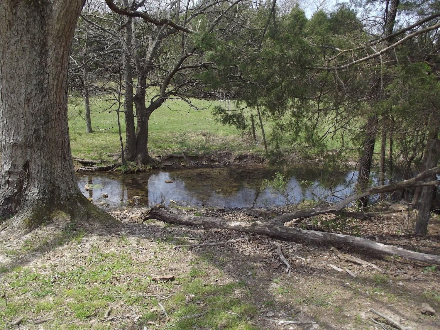 Mammoth Spring, Fulton County, AR Undeveloped Land for sale Property ID