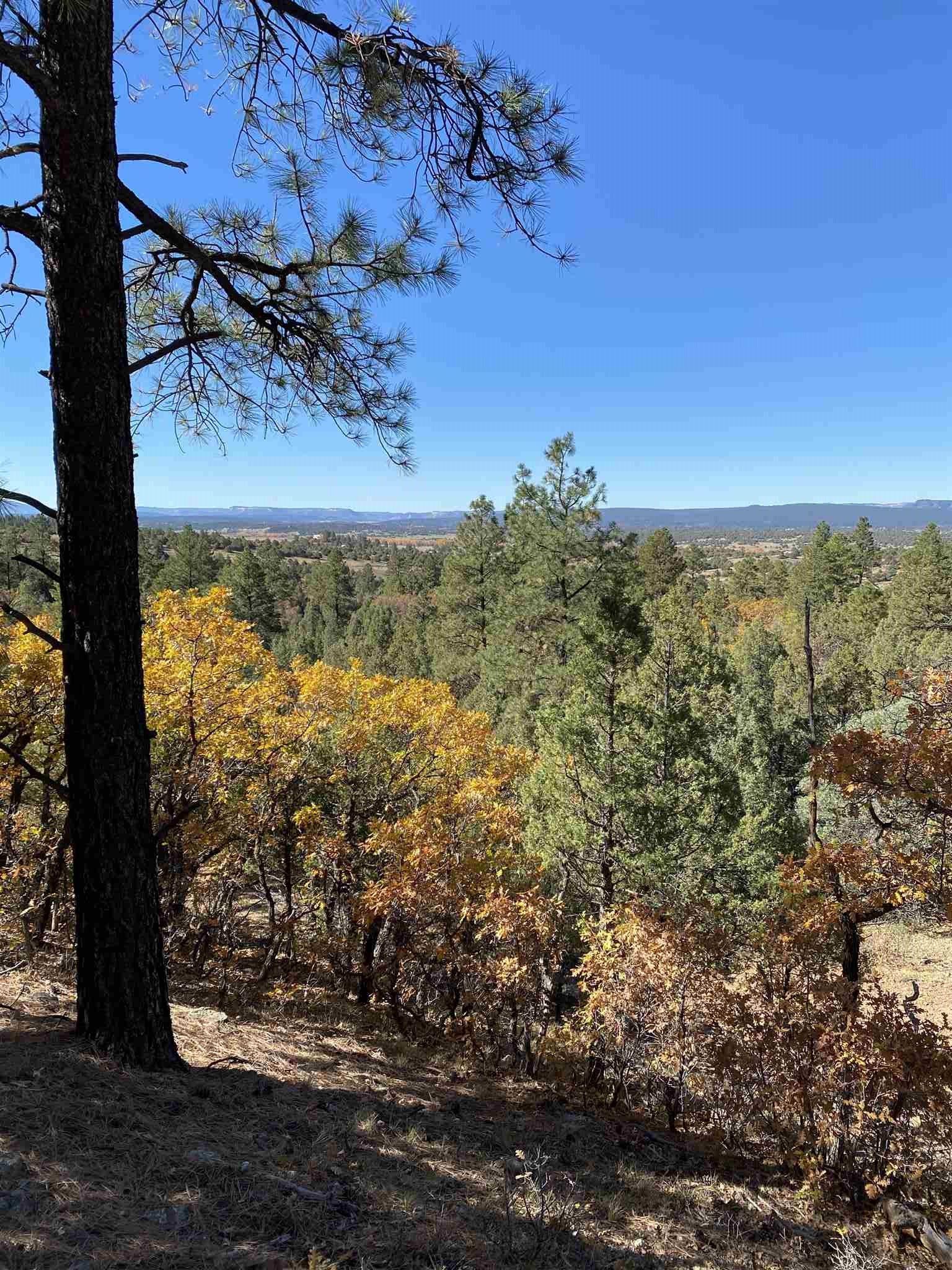 Chama, Rio Arriba County, NM Undeveloped Land for sale Property ID