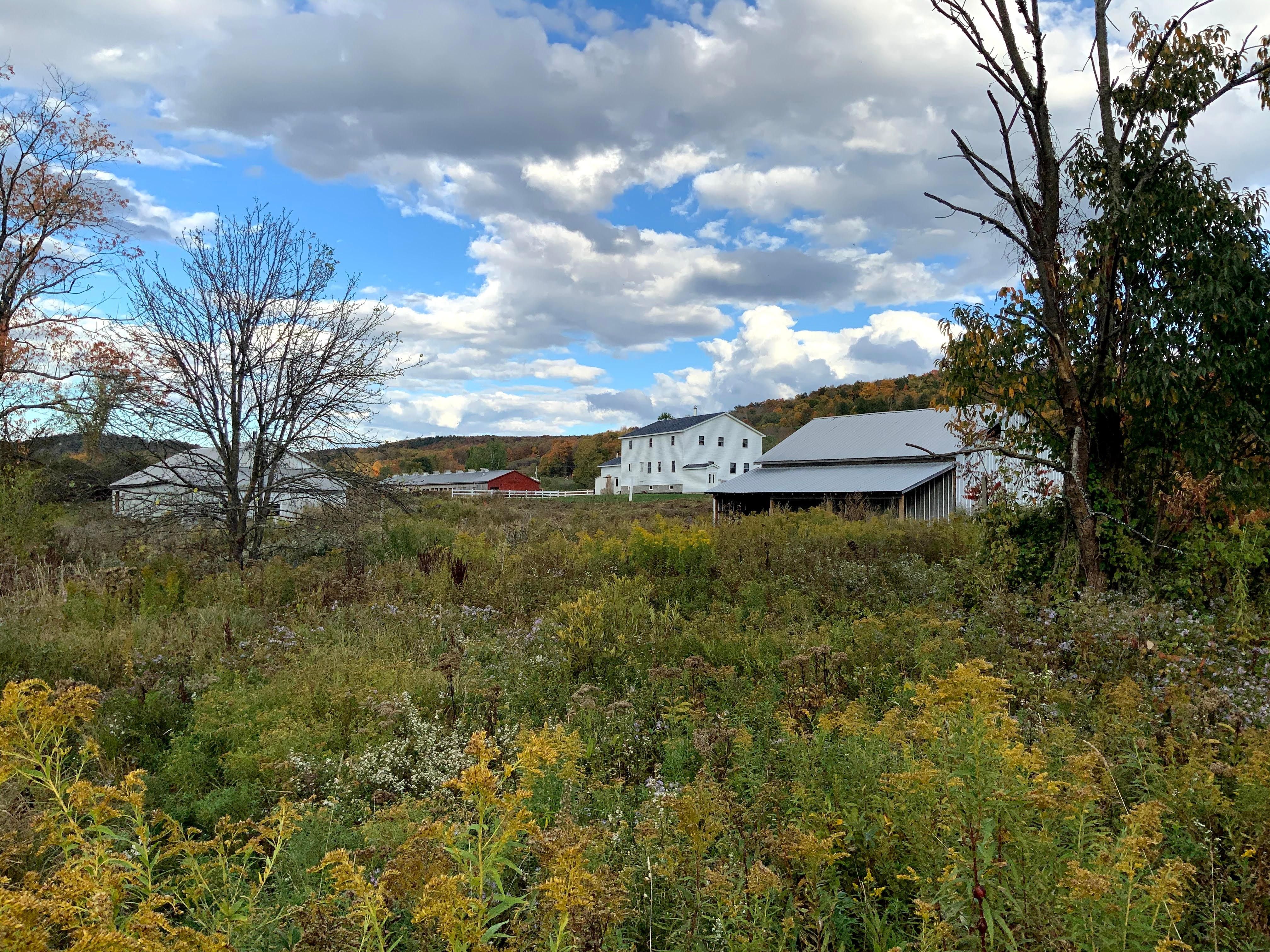 West Edmeston, Otsego County, NY Farms and Ranches, Hunting Property