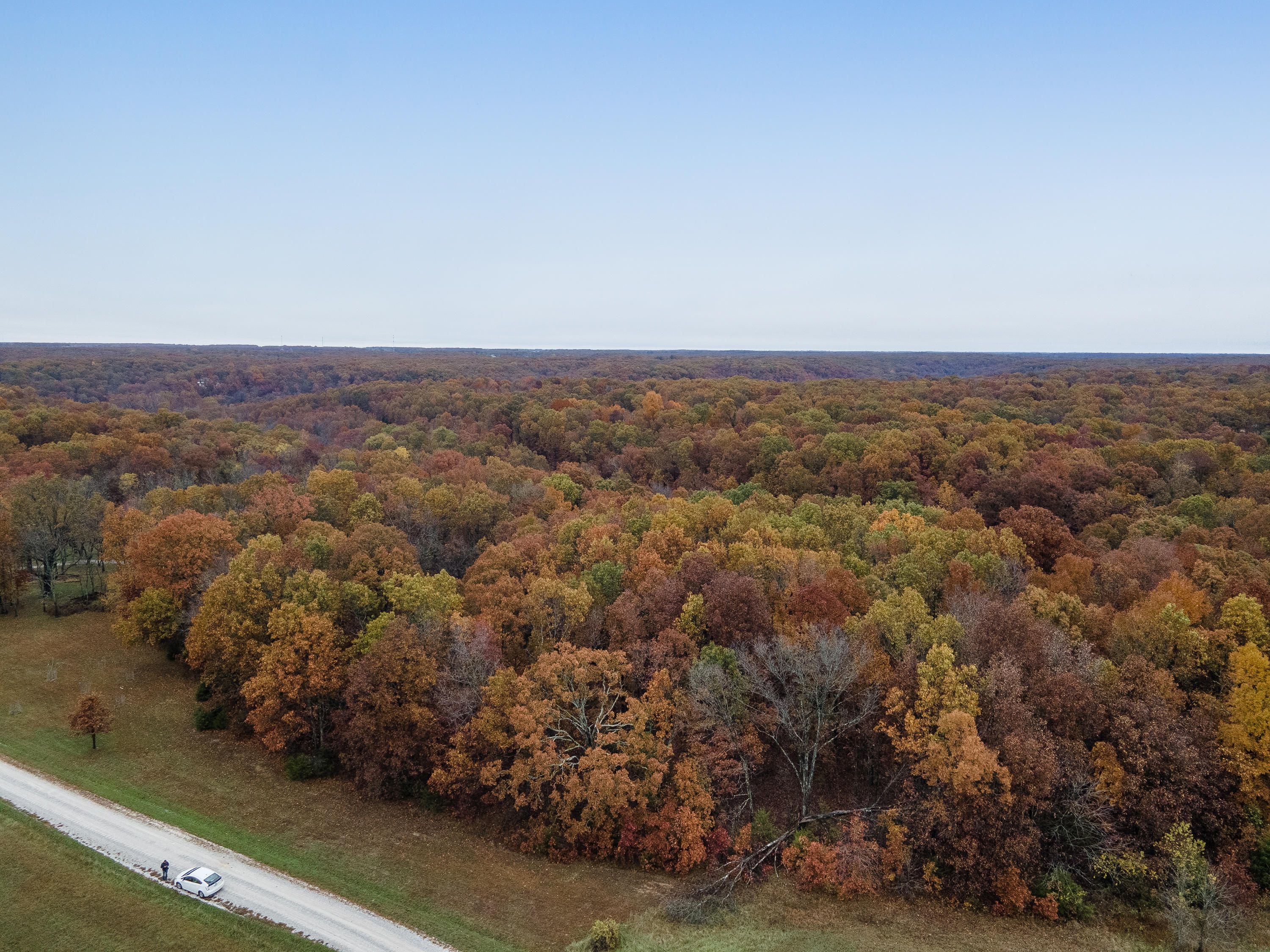 Rogersville, Christian County, MO Undeveloped Land for sale Property ID