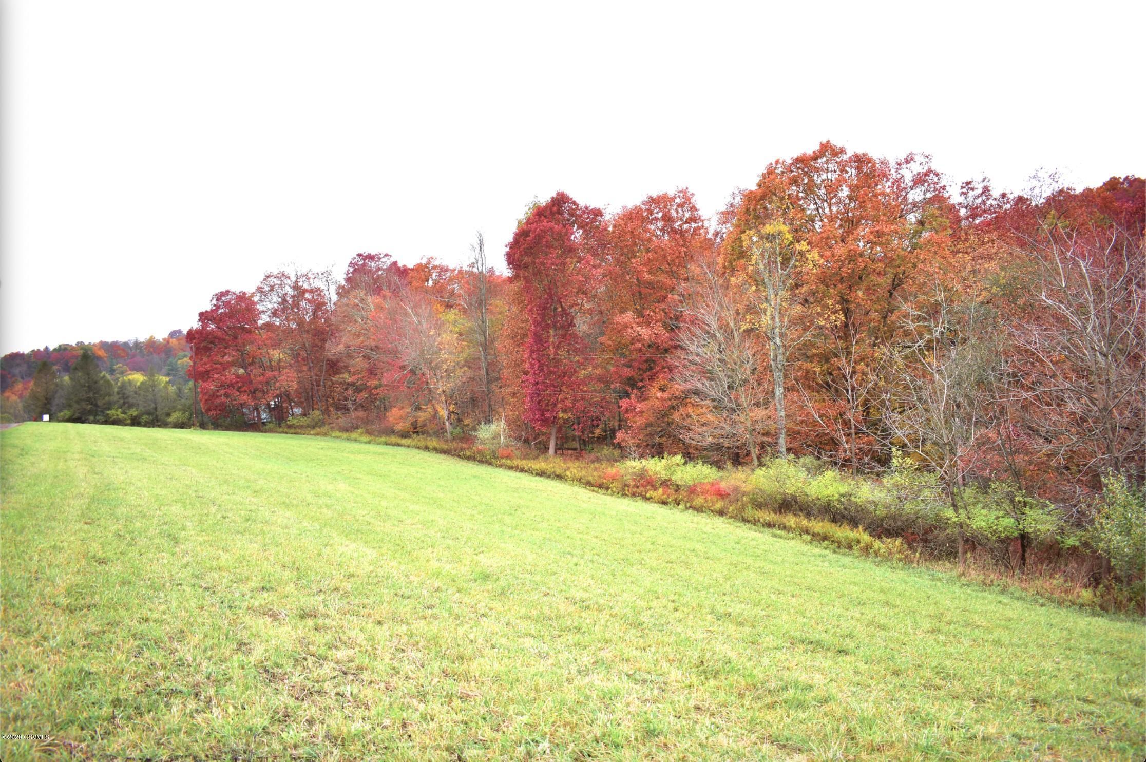 Stillwater, Columbia County, PA Undeveloped Land for sale Property ID