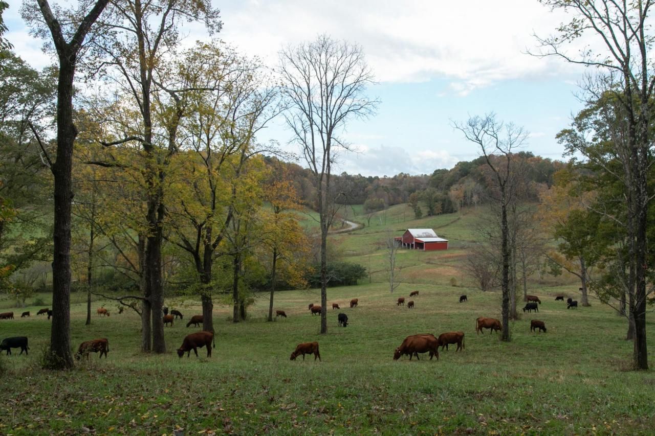 Hampshire, Lewis County, TN Farms and Ranches, Recreational Property