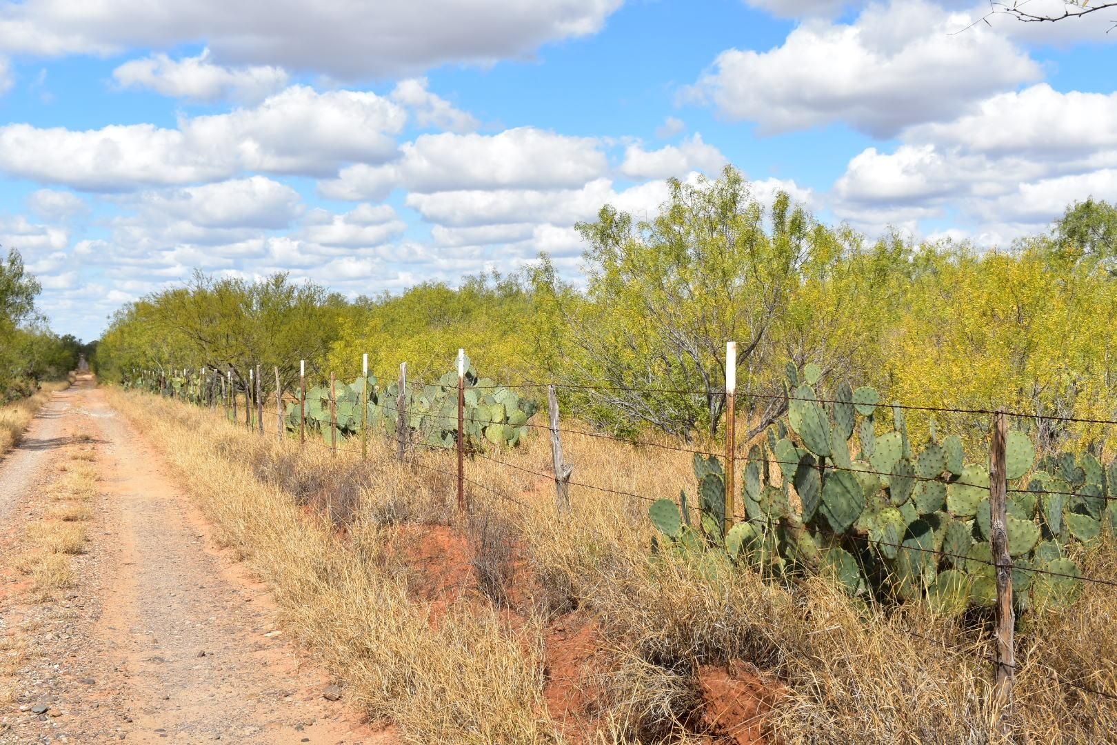 Laredo, b County, TX Farms and Ranches, Undeveloped Land, Hunting