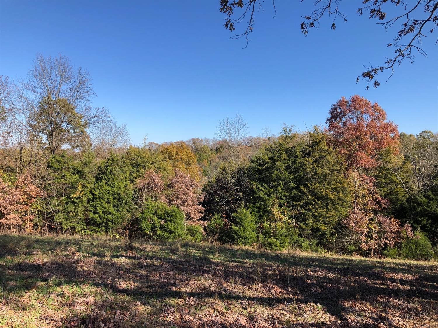 Kentontown, Robertson County, KY Farms and Ranches for sale Property ID