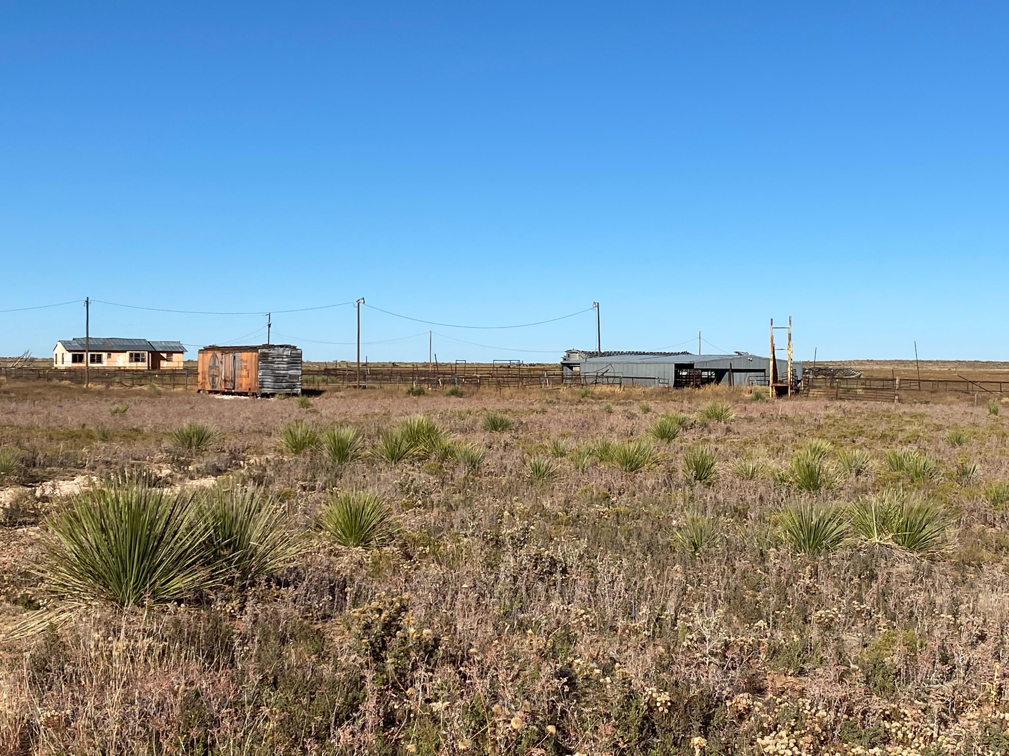 Melrose, Curry County, NM Farms and Ranches, Undeveloped Land, Horse