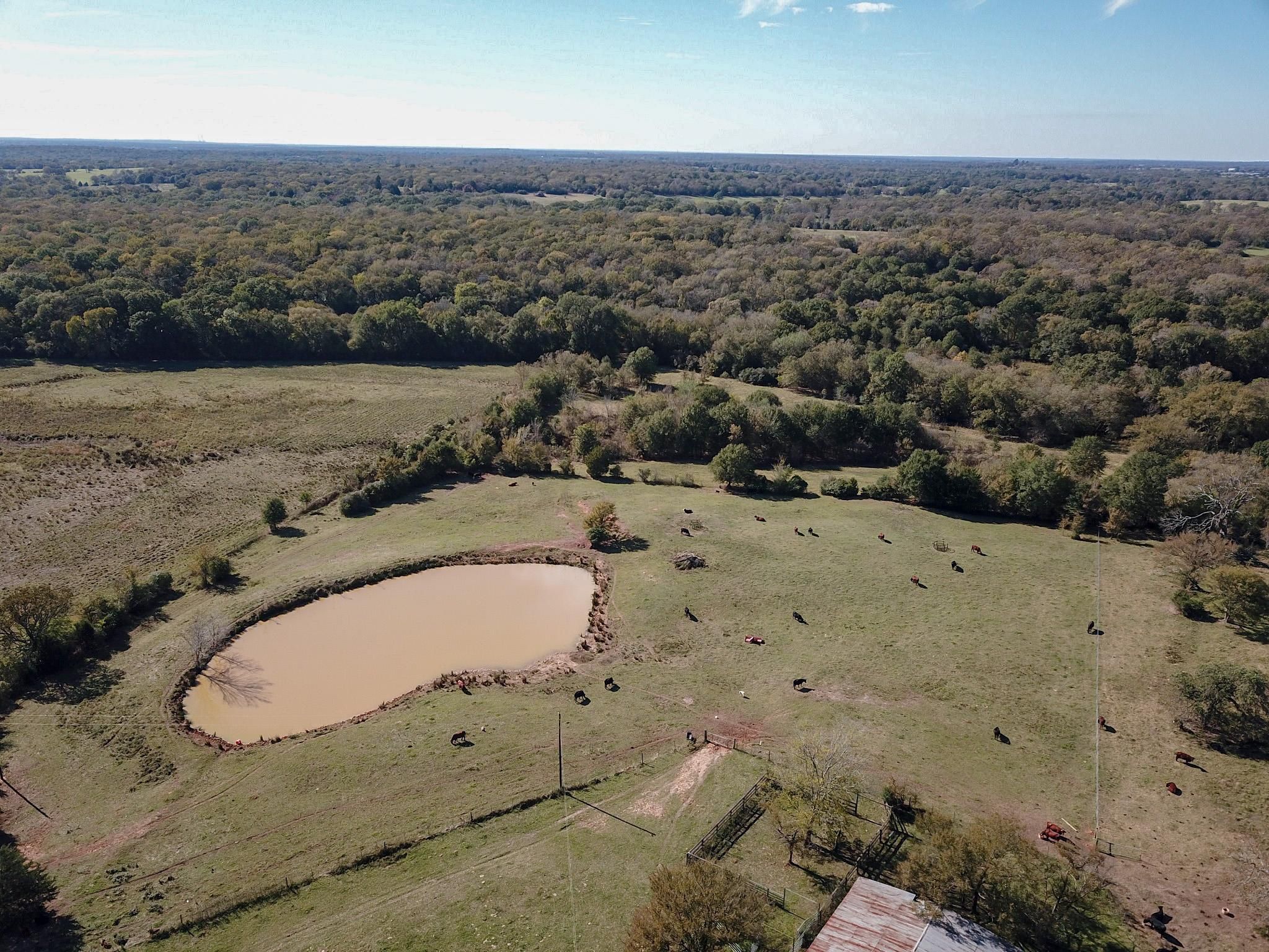 Concord, Leon County, TX Farms and Ranches, Recreational Property