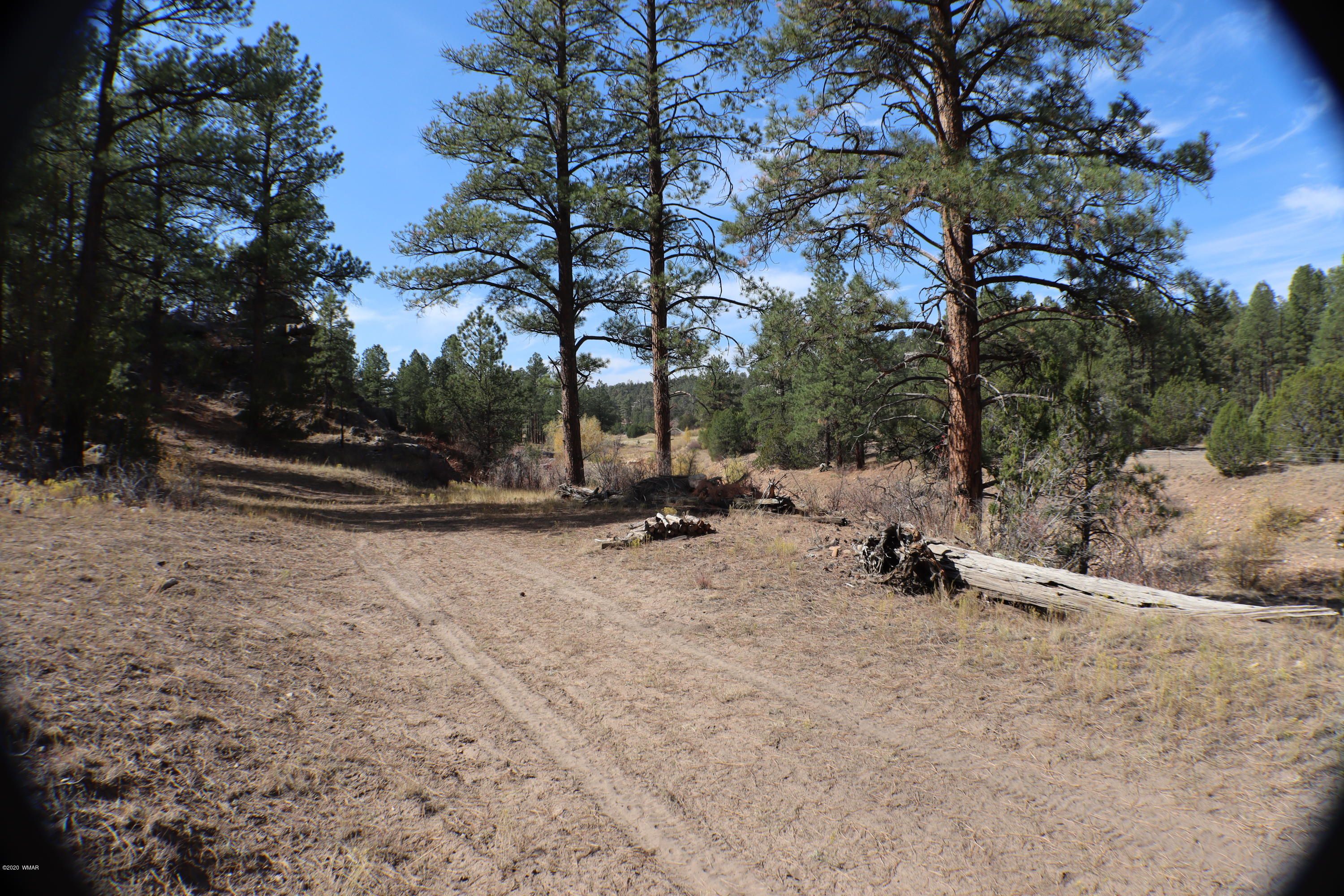 Heber, Navajo County, AZ Undeveloped Land for sale Property ID