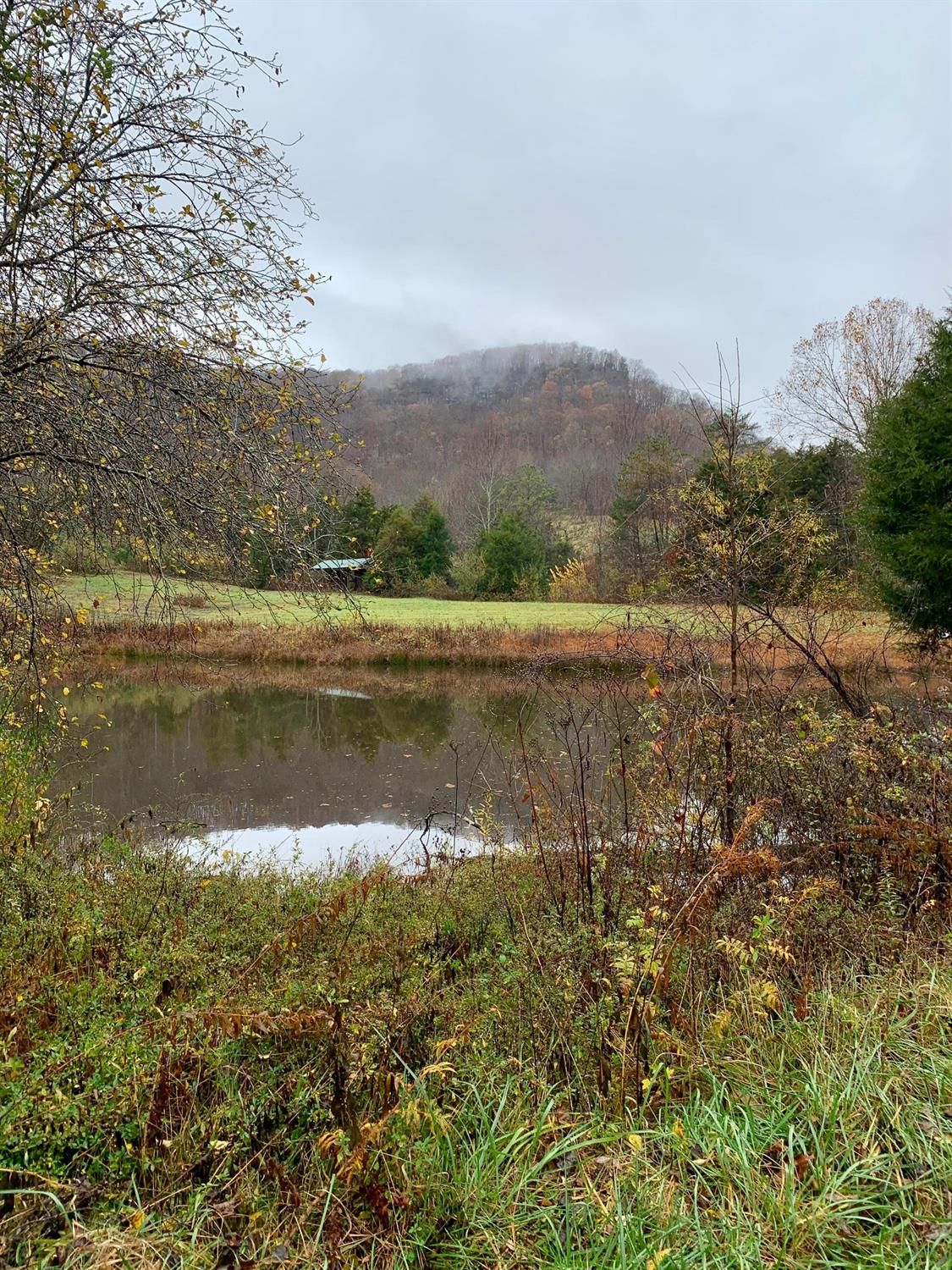 Berea, Madison County, KY Farms and Ranches for sale Property ID