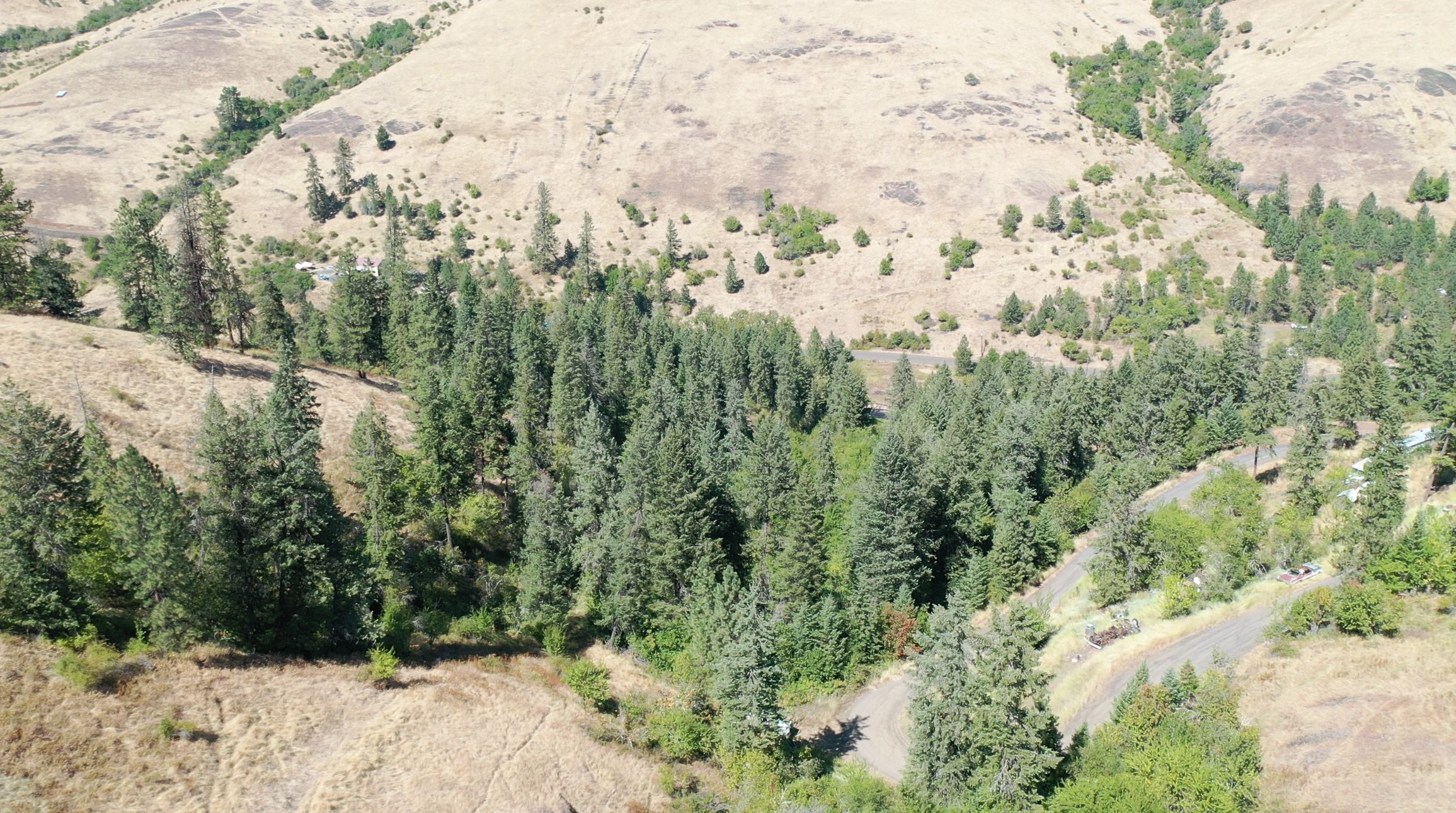 Kooskia, Idaho County, ID Recreational Property, Hunting Property for