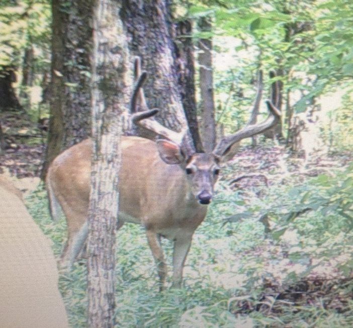 Pocahontas, Hinds County, MS Undeveloped Land for sale Property ID