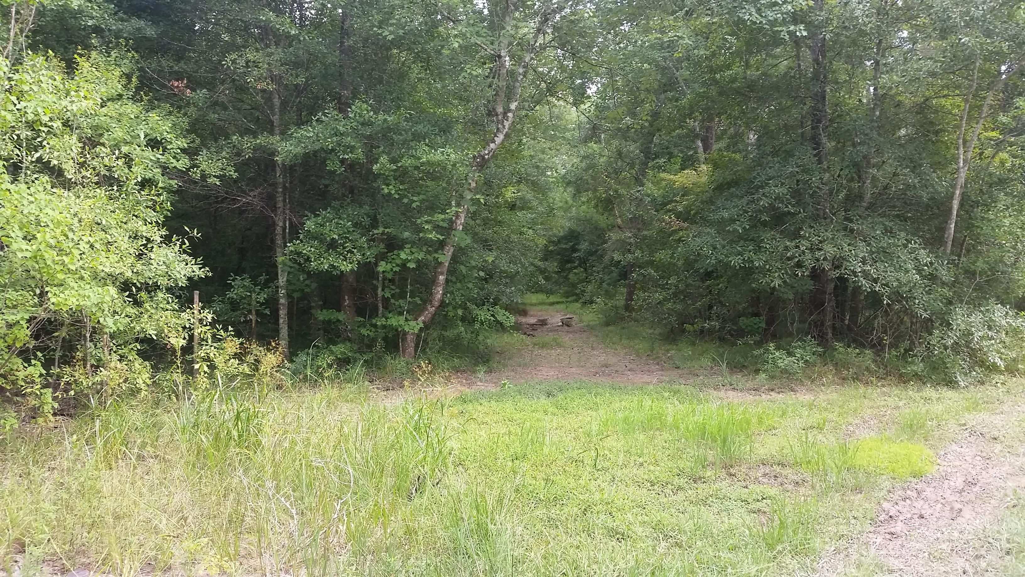 Cleveland, Liberty County, TX Undeveloped Land for sale Property ID