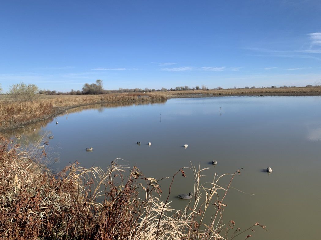 Whiting, Monona County, IA Undeveloped Land for sale Property ID