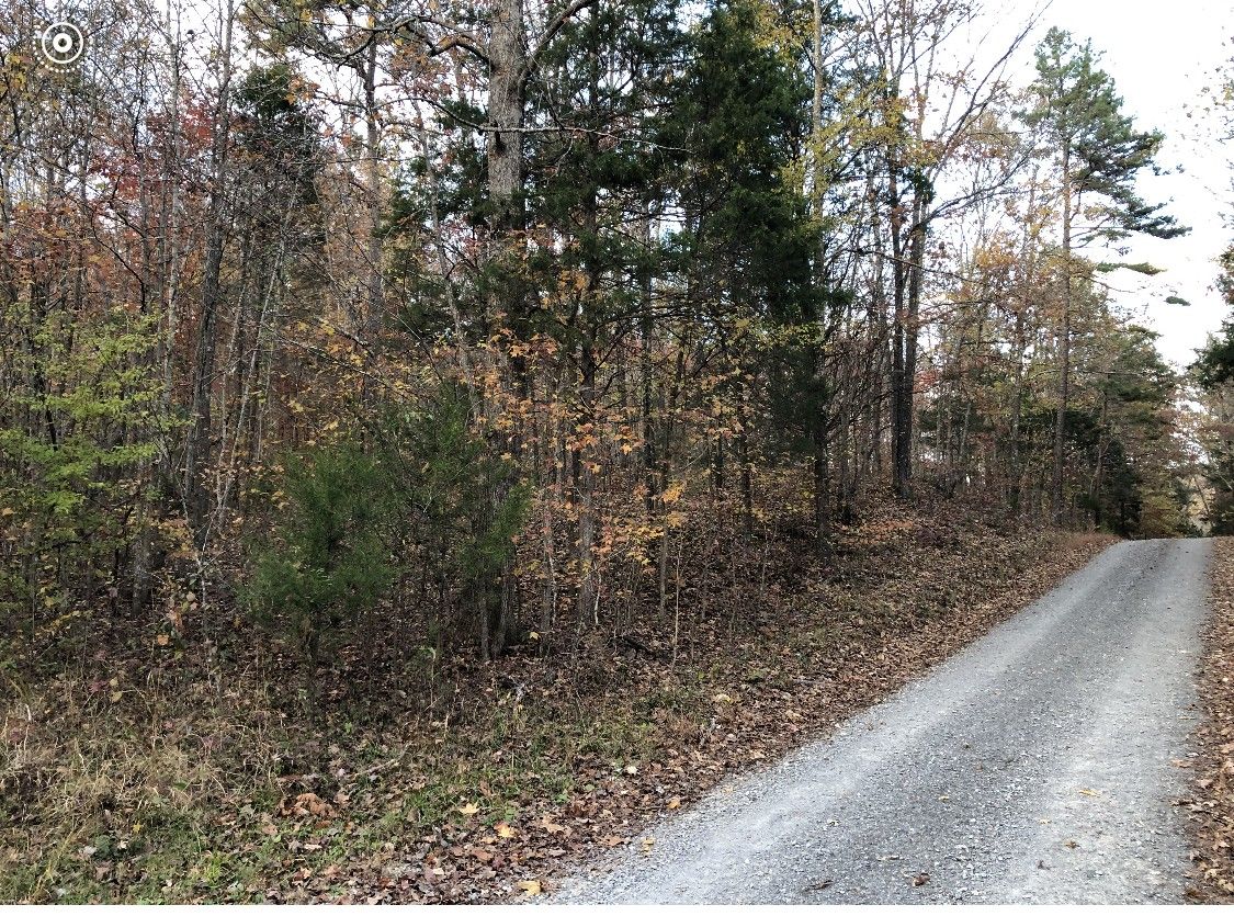Dover, Stewart County, TN Undeveloped Land for sale Property ID