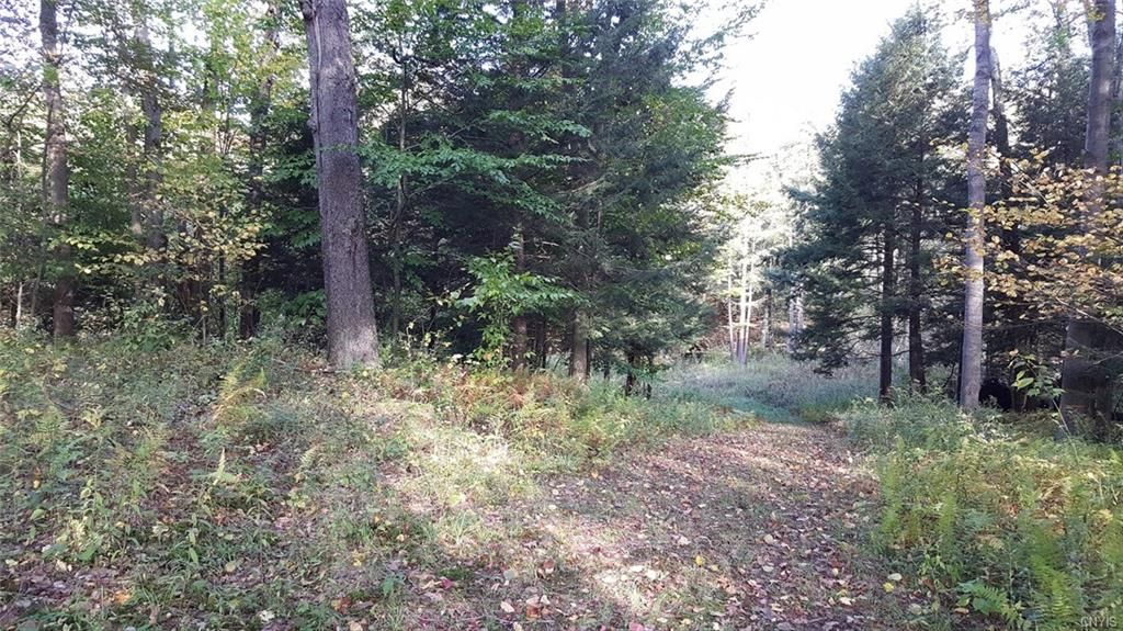 Sandy Creek, Oswego County, NY Undeveloped Land, Lakefront Property