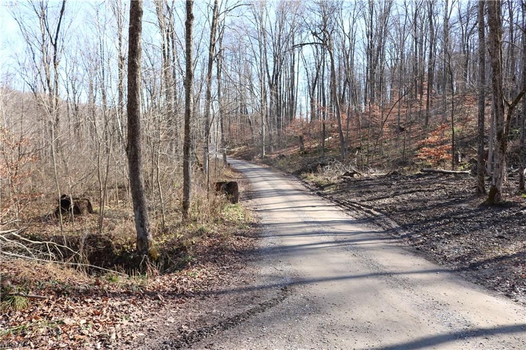 Killbuck, Holmes County, OH Undeveloped Land for sale Property ID