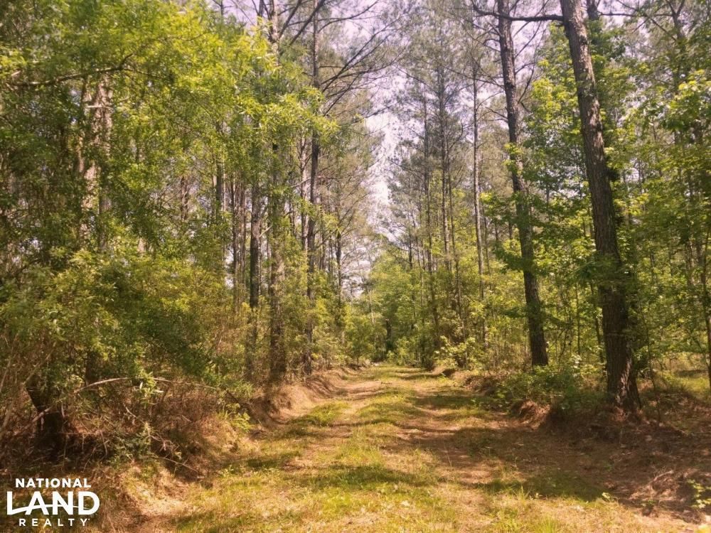 Pine Level, Montgomery County, AL Recreational Property, Timberland Property, Hunting Property