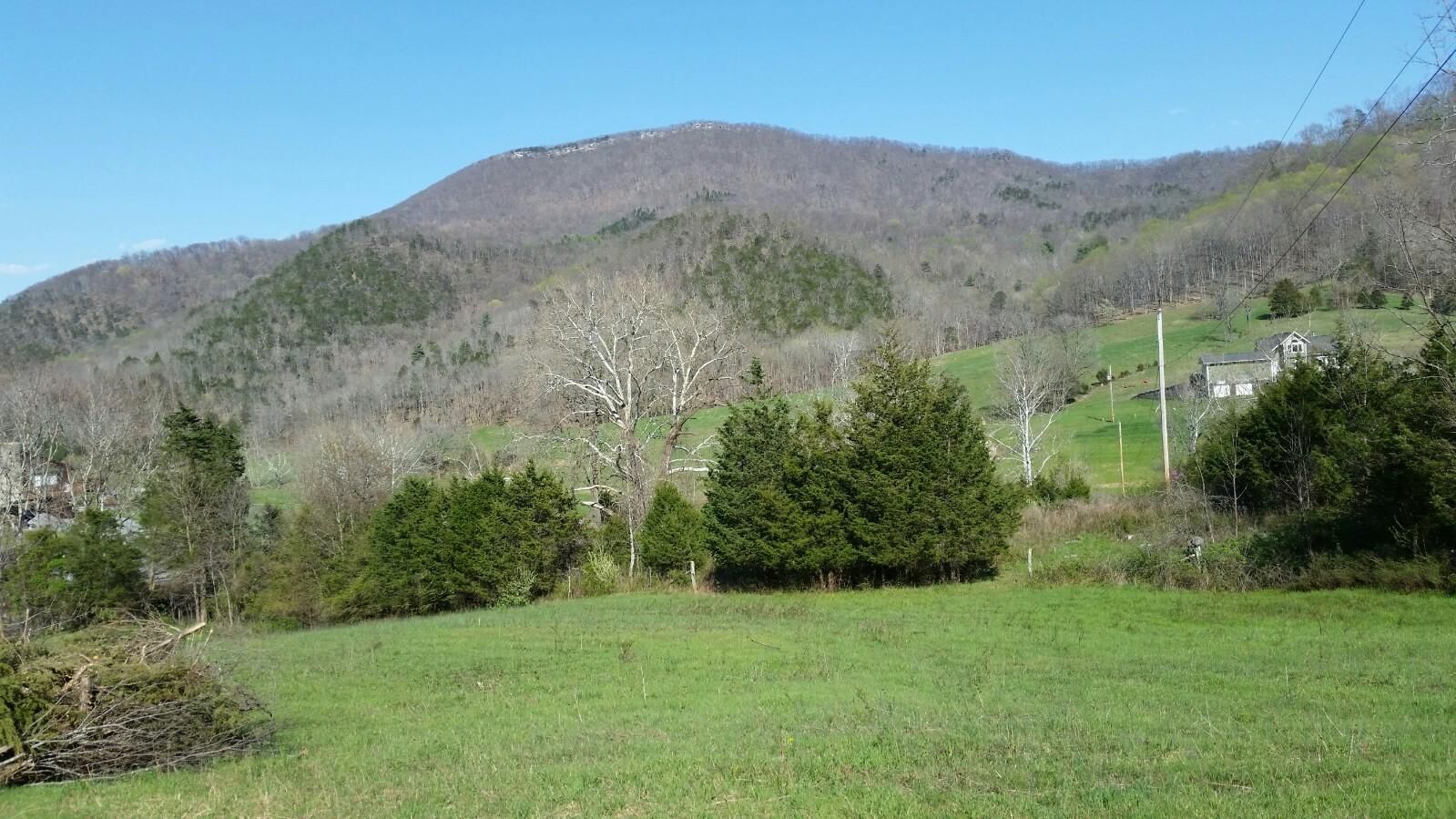 Troutville, Botetourt County, VA Undeveloped Land for sale Property ID
