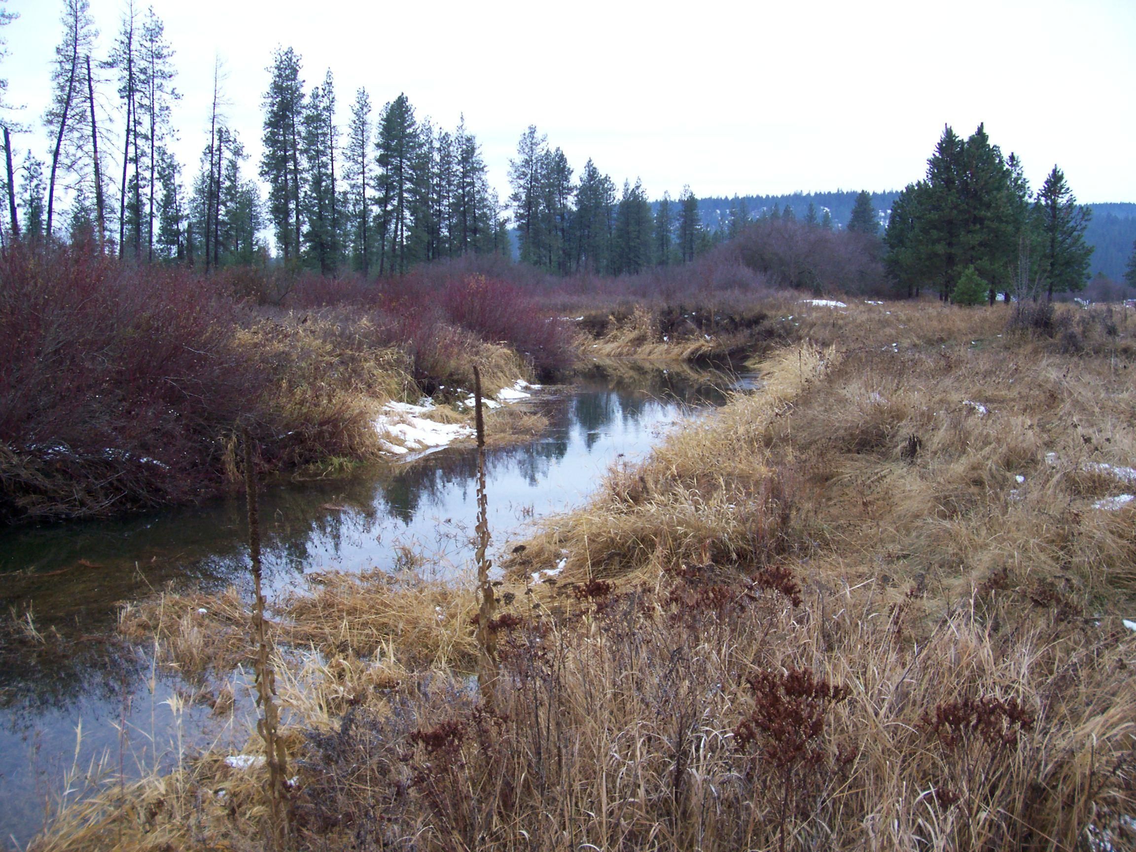 Ford, Stevens County, WA Undeveloped Land, Lakefront Property