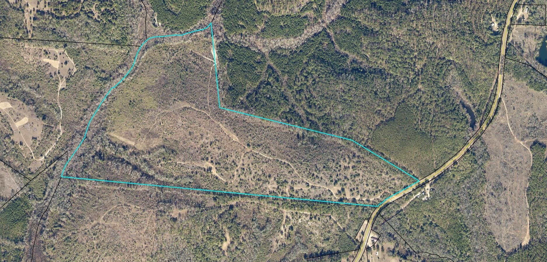 Tennille, Washington County, GA Recreational Property, Hunting Property for sale Property ID