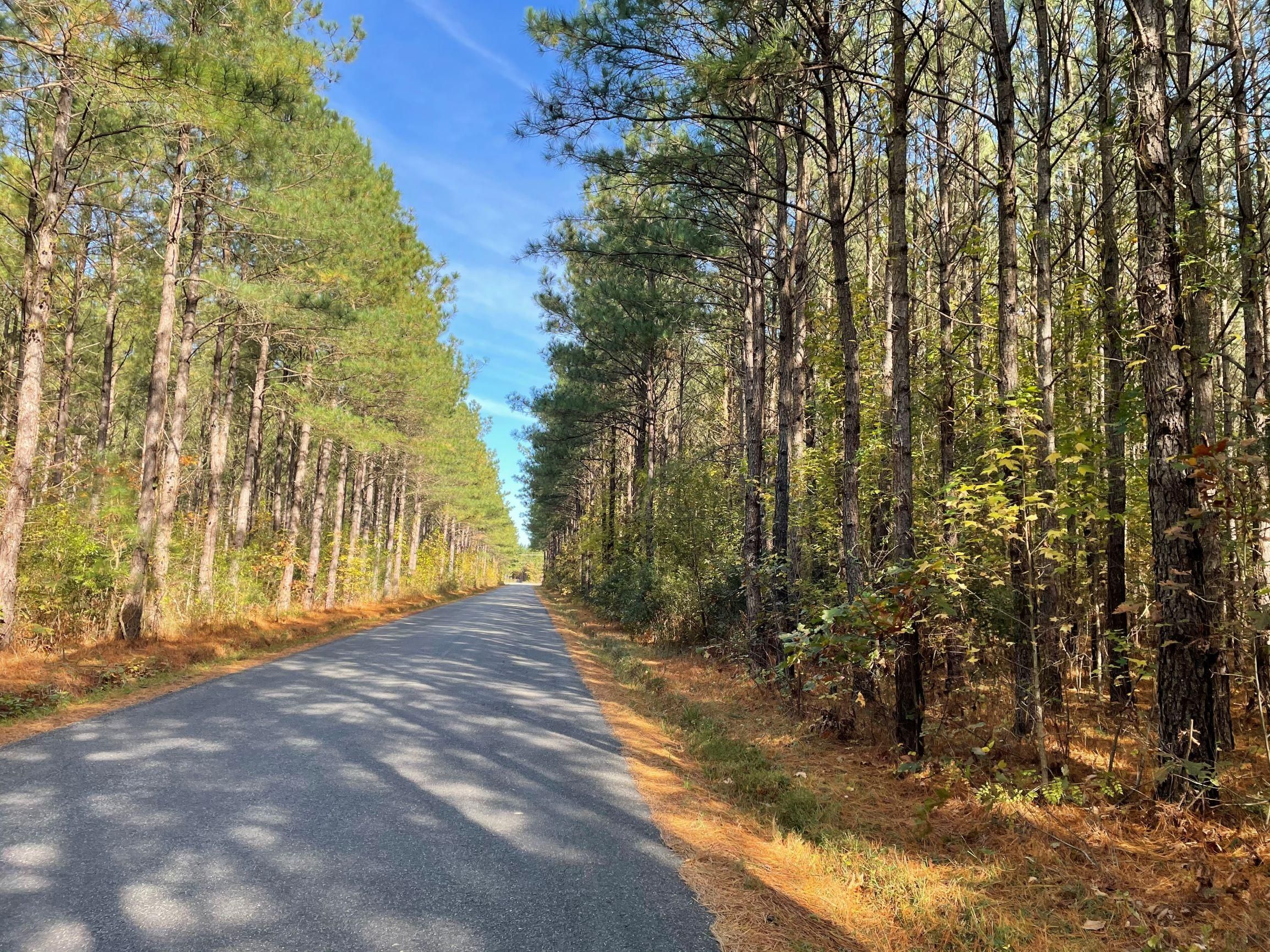 Kinsale, Westmoreland County, VA Timberland Property, Undeveloped Land