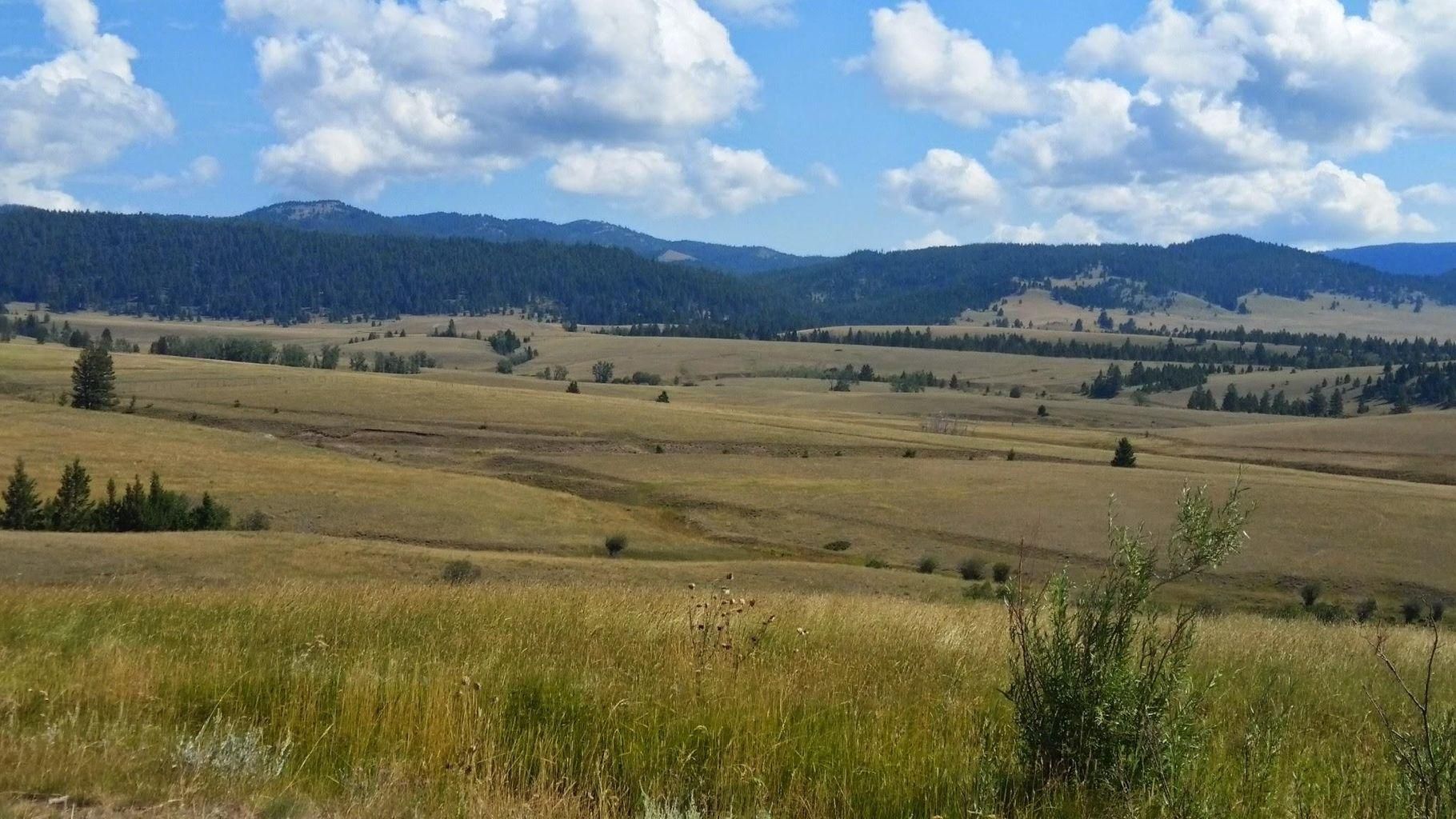 Avon, Powell County, MT Farms and Ranches, Horse Property for sale