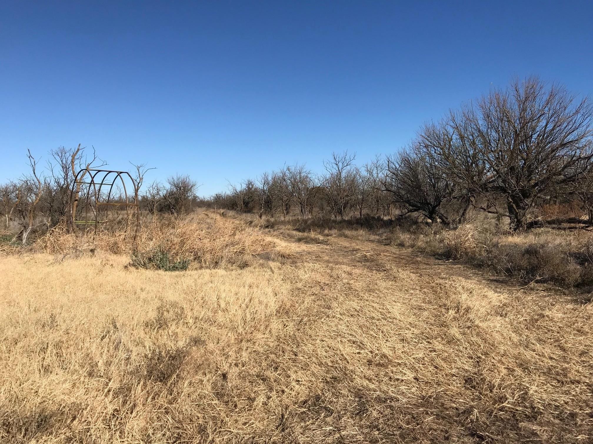 Clyde, Callahan County, TX Farms and Ranches, Recreational Property