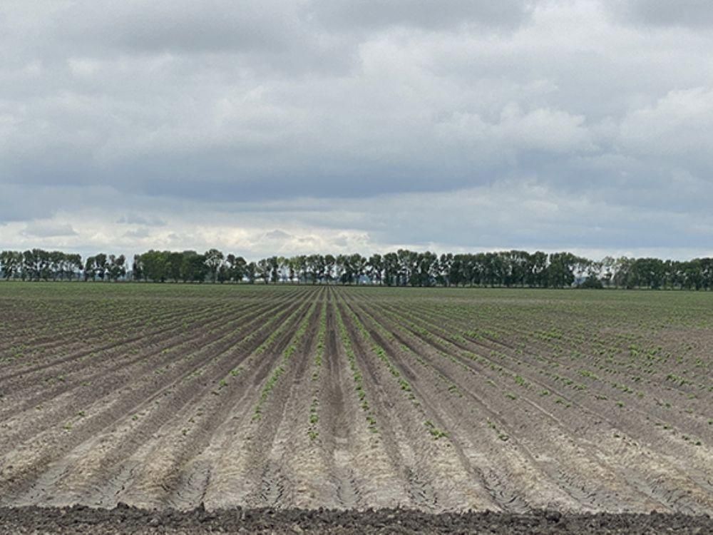 Pembina, Pembina County, ND Farms and Ranches for sale Property ID