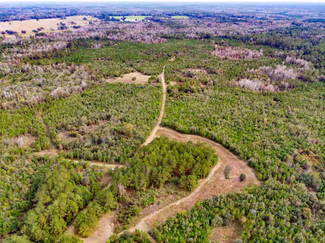 Madison, Madison County, FL Undeveloped Land, Lakefront Property