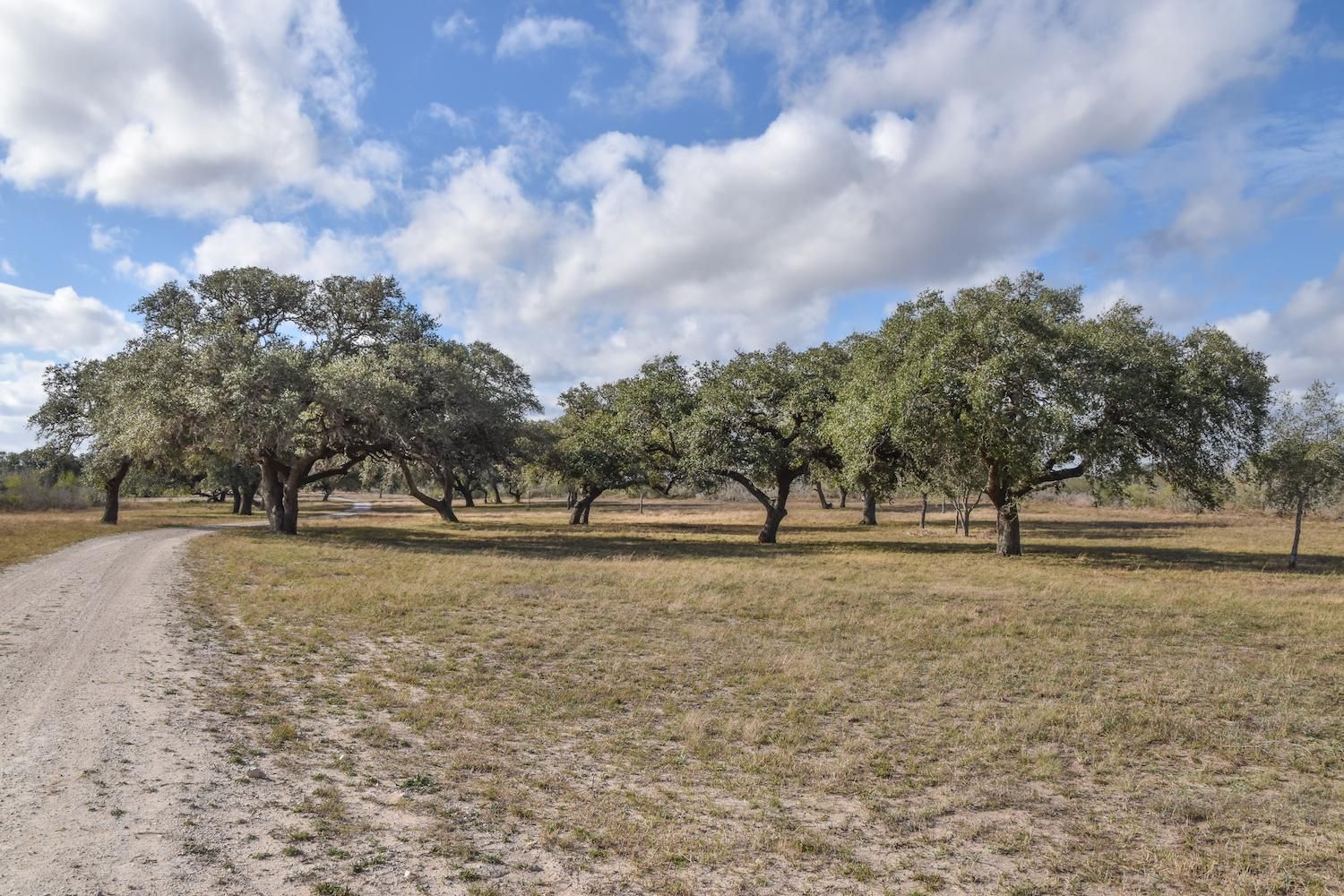Beeville, Bee County, TX Farms and Ranches, Recreational Property